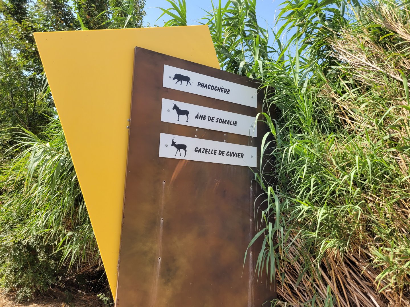 Third Savannah entrance -Réserve Africaine de Sigean (2022)