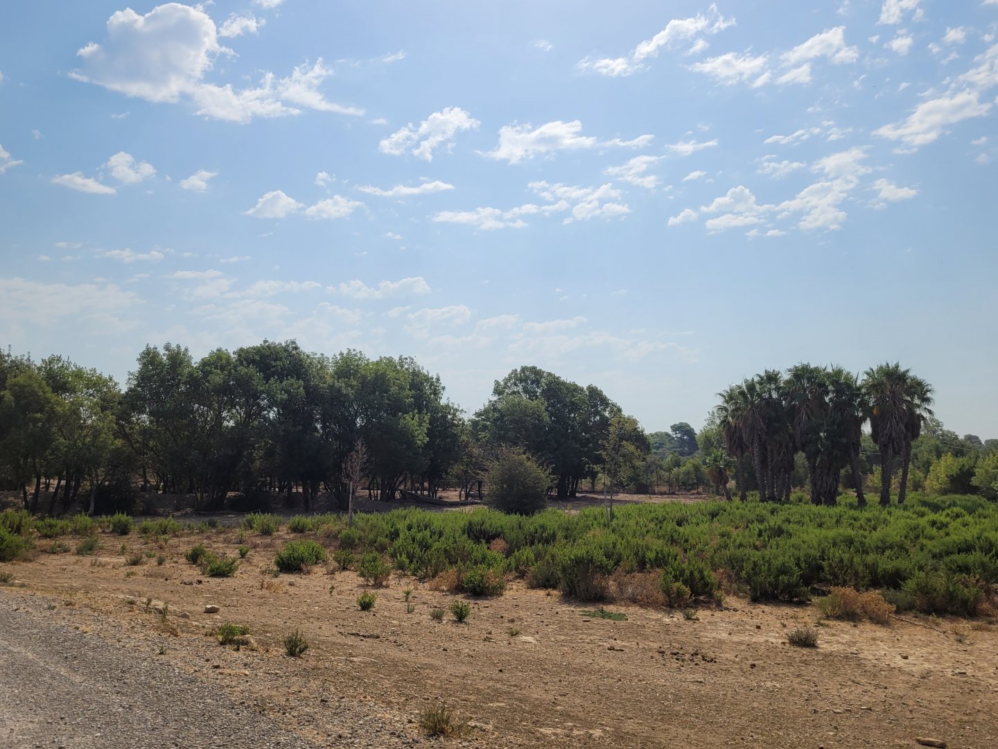 Third Savannah exhibit -Réserve Africaine de Sigean (2022)