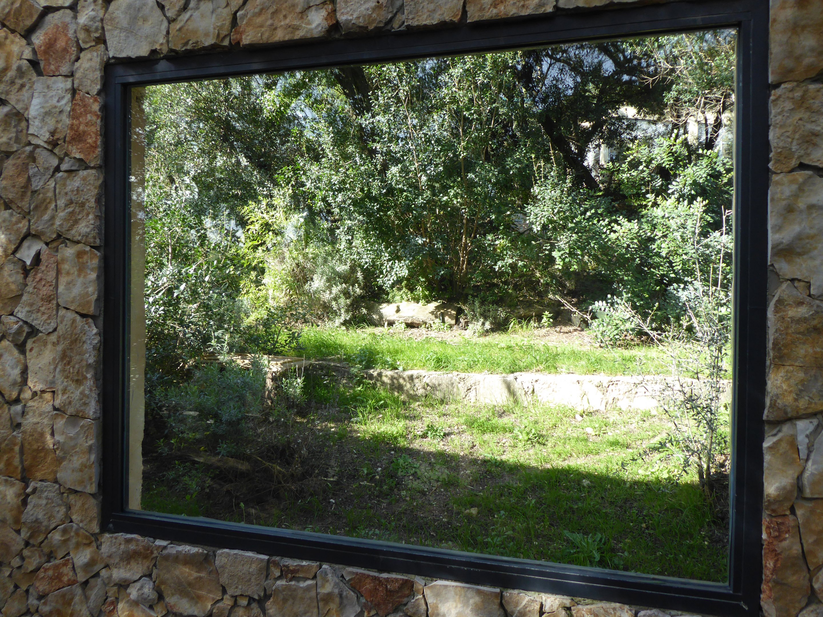 Third viewing window into the exhibit for Iberian Lynx (Lynx pardinus) within the "Tapada do Lince-ibérico" complex