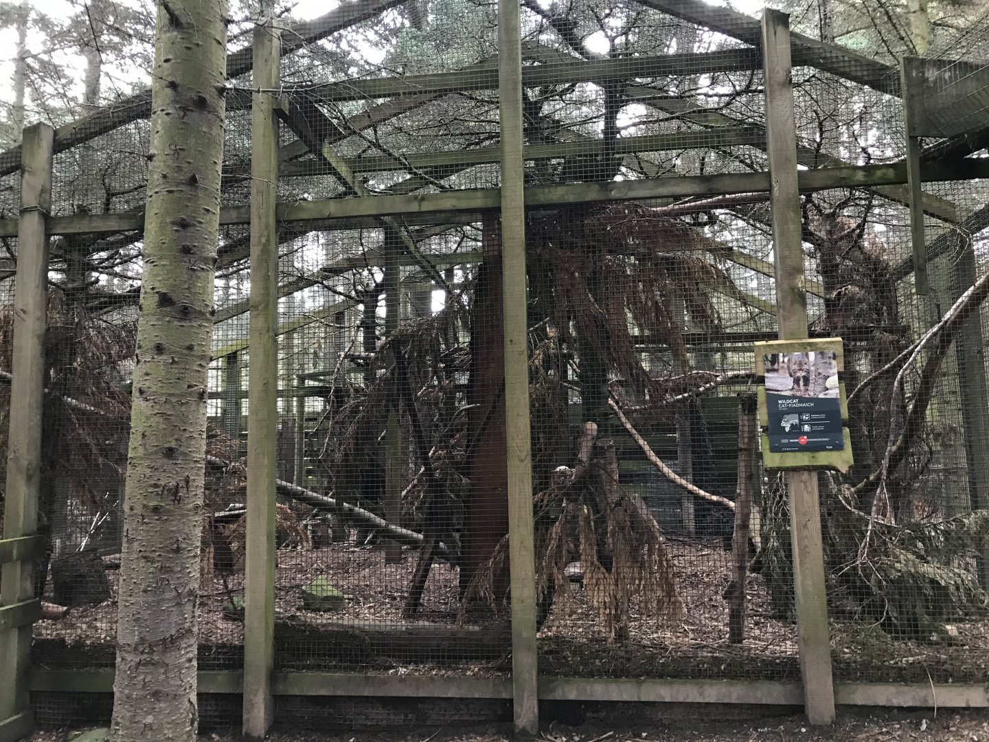 Third wildcat enclosure
