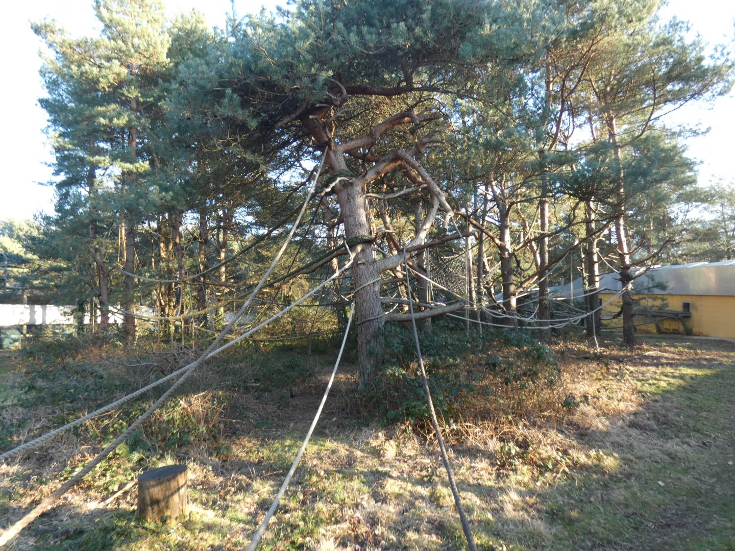 Third Wooly Monkey enclosure