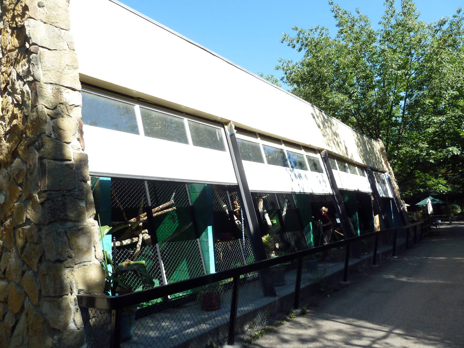 Third World Primate Building