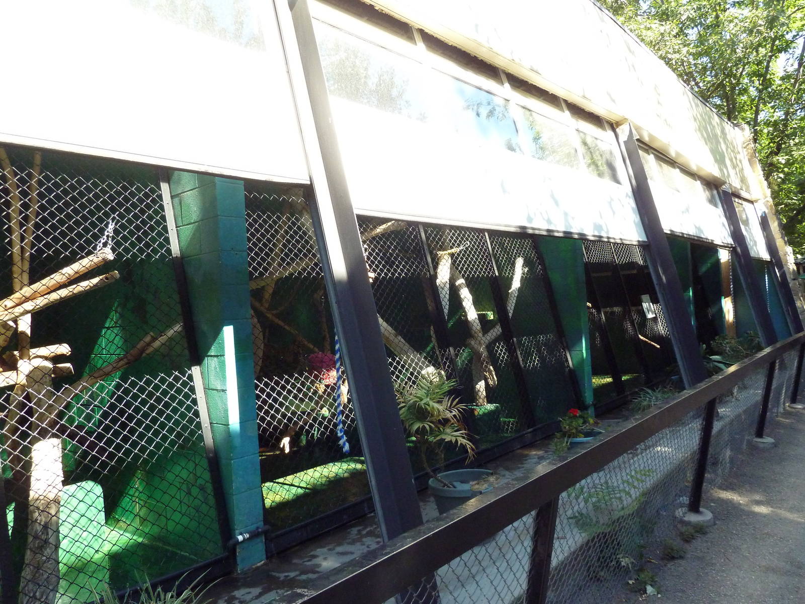 Third World Primate House