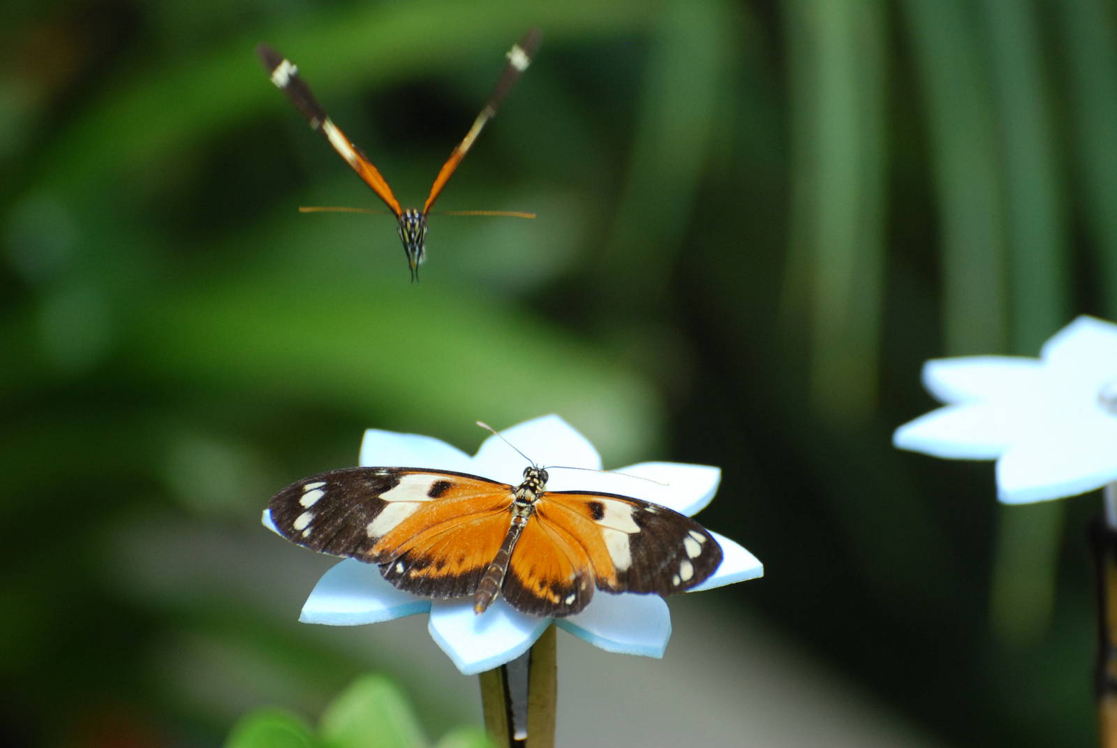 This could be messy!