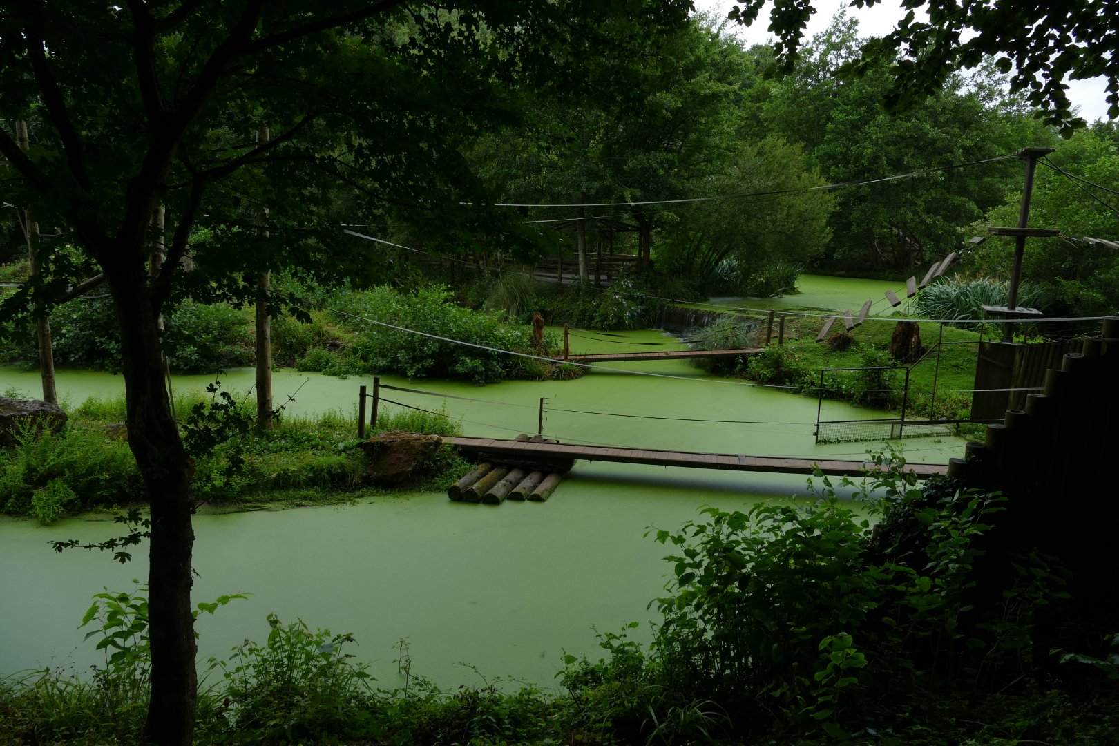 This green and pleasant land, July 2018