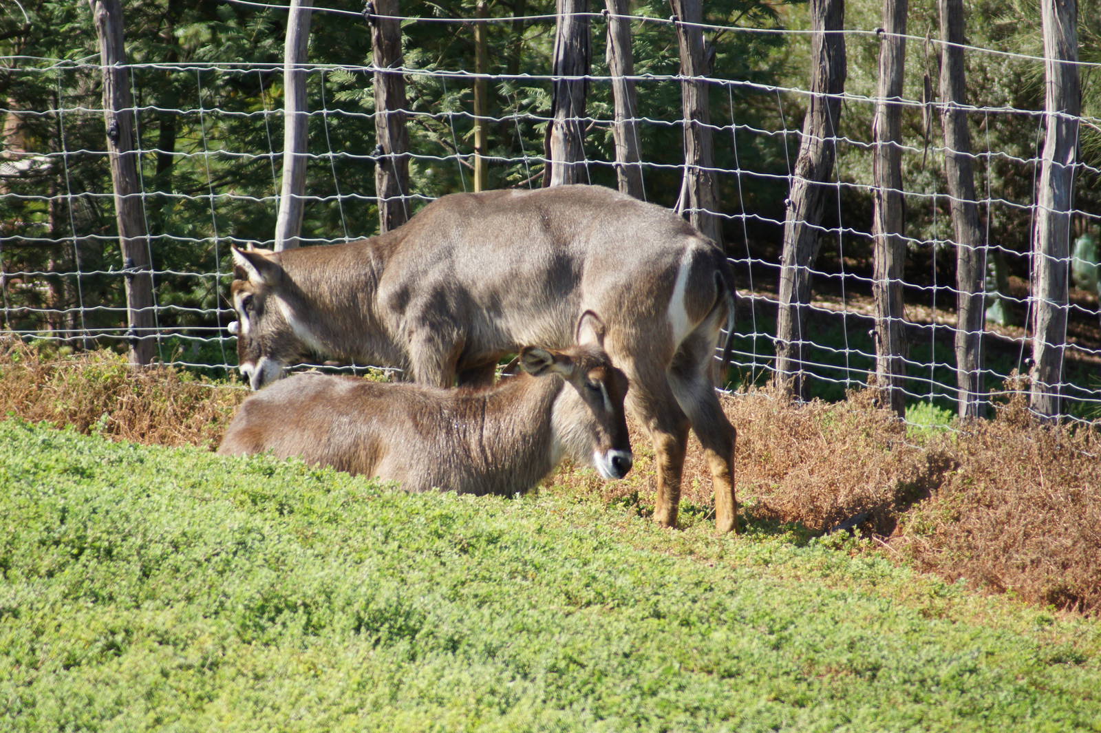 THIS IS A DUPLICATE PHOTO, PLEASE DELETE