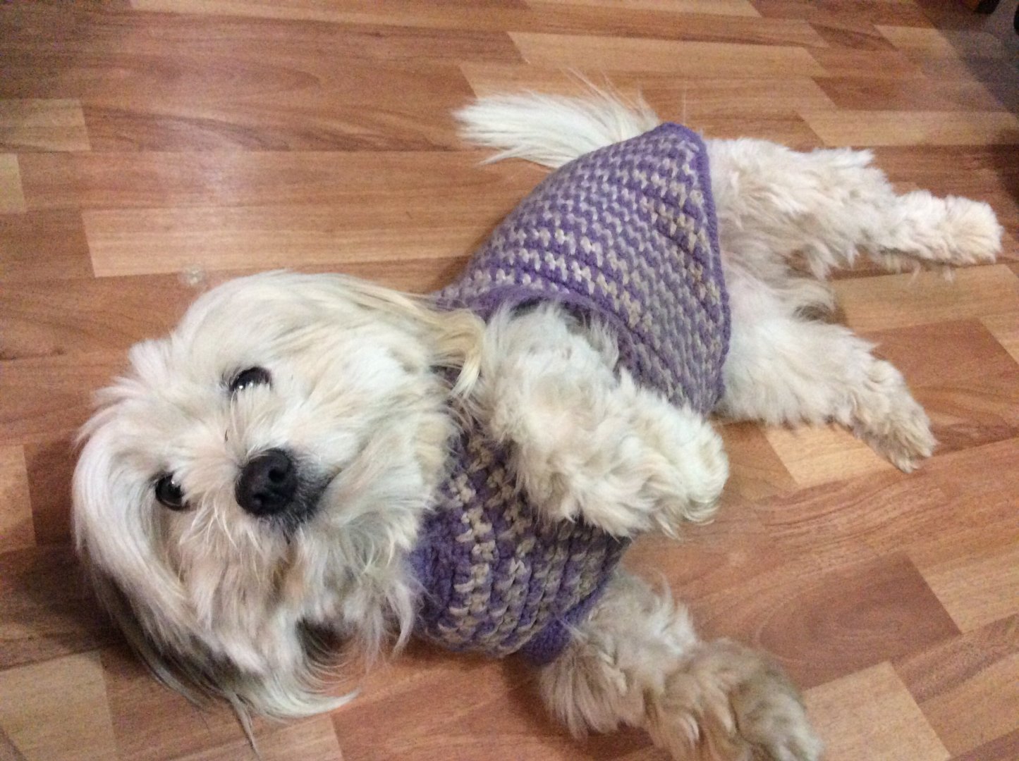 This is Annabelle aka Hazzy