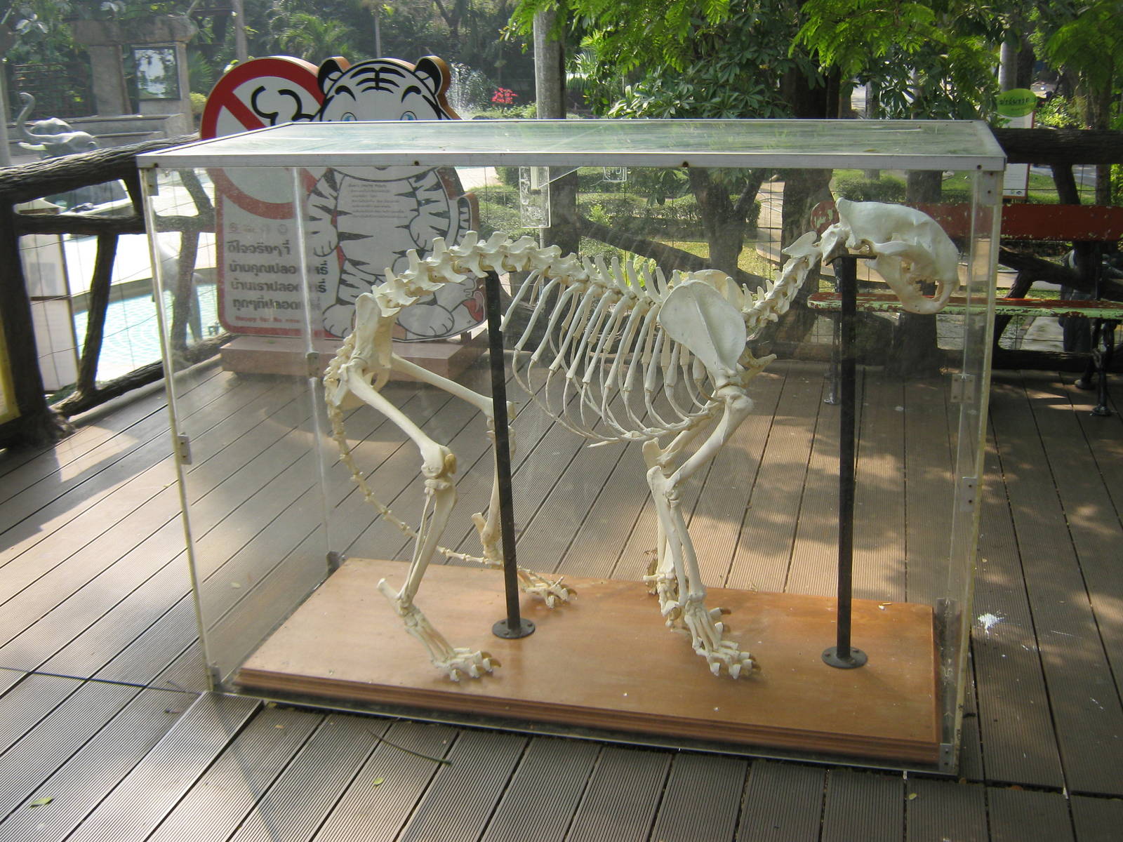 this is what happens when you keep animals in little glass boxes.....