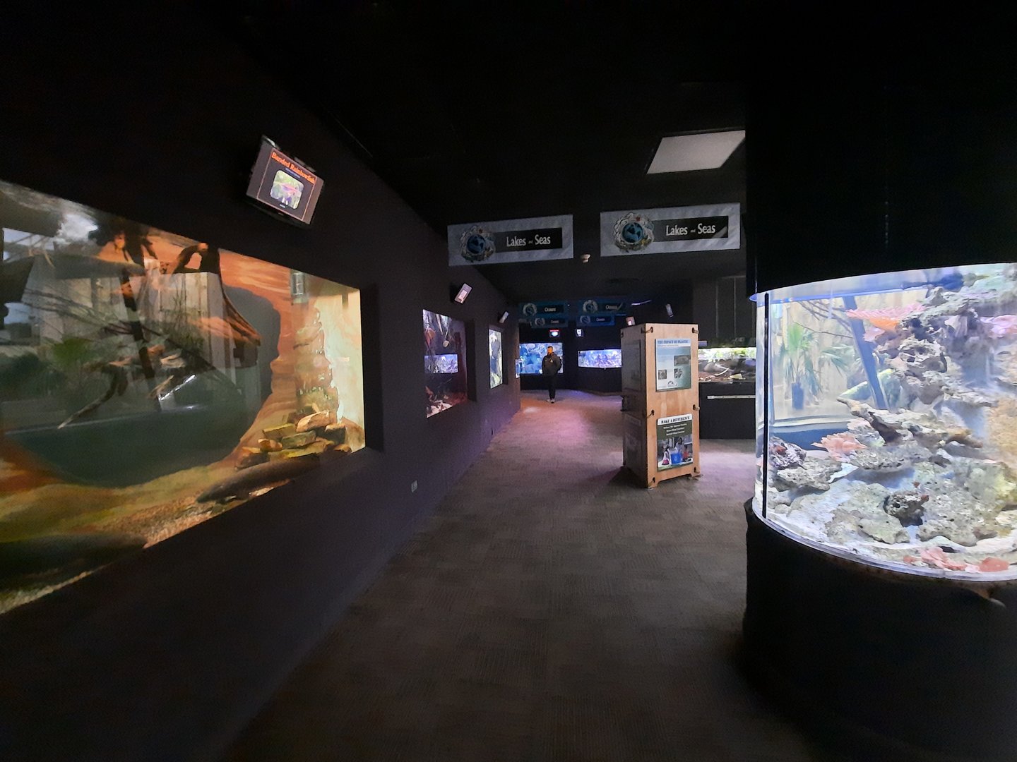 This Is Where the Fish Lives