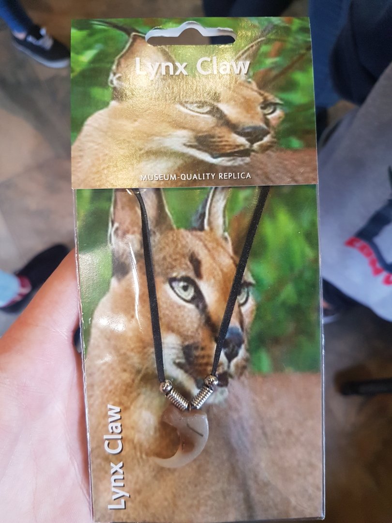 This made me chuckle