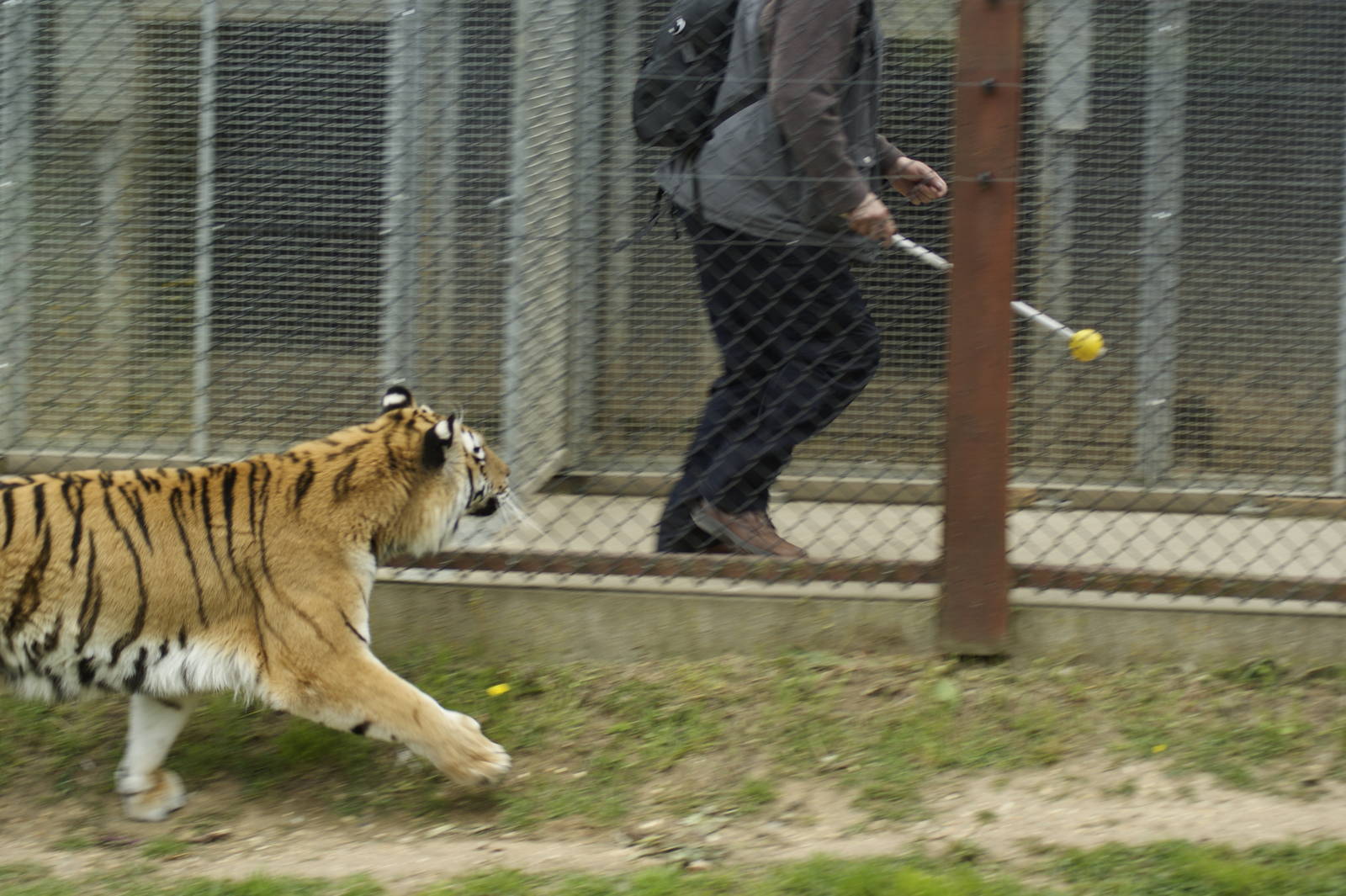 This meet the human experience isnt up to much!