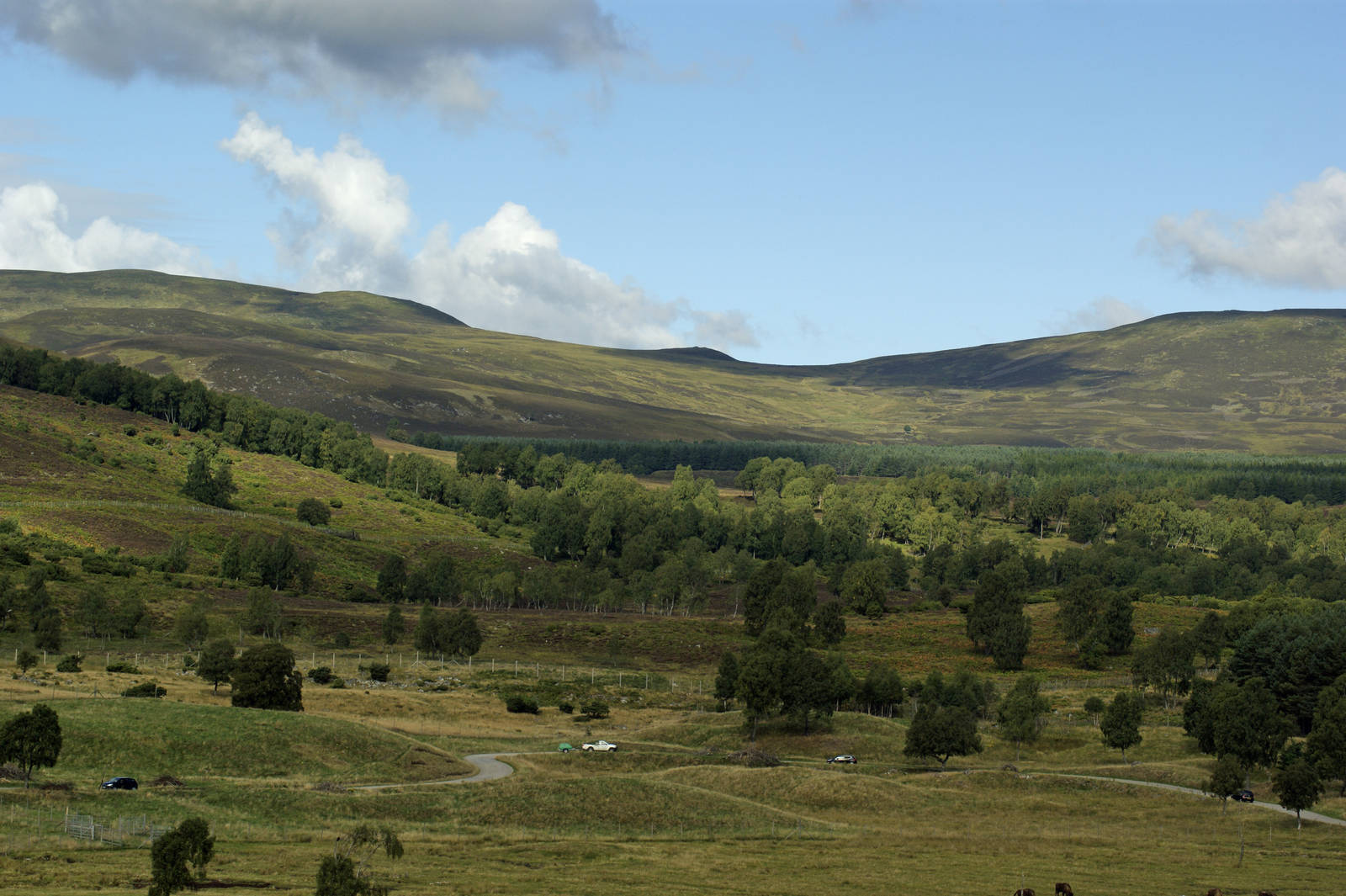 This surely must be the most stunning zoo or park in the UK
