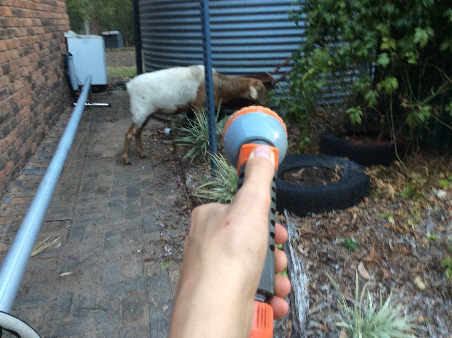 This won’t hurt a bit