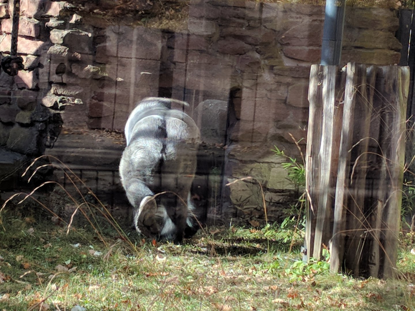 Thomas turning the Back on me