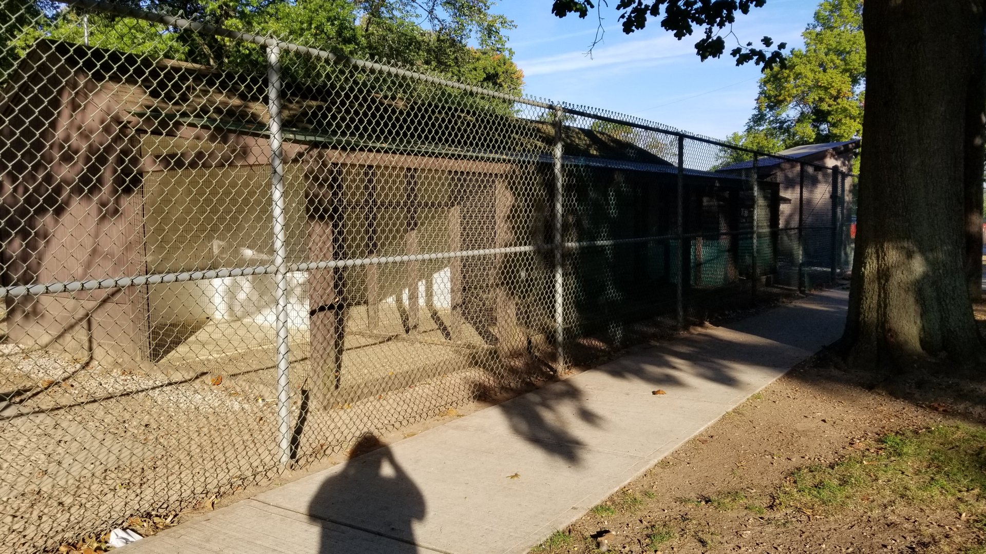 Thompson Park - Birds, empty end