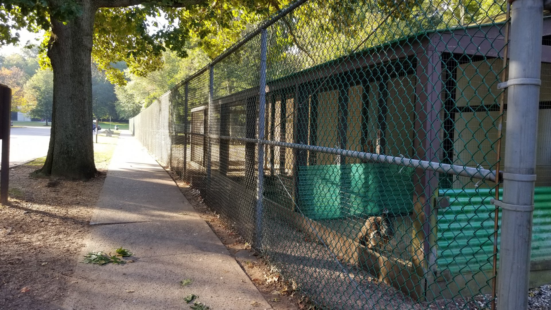 Thompson Park - Birds