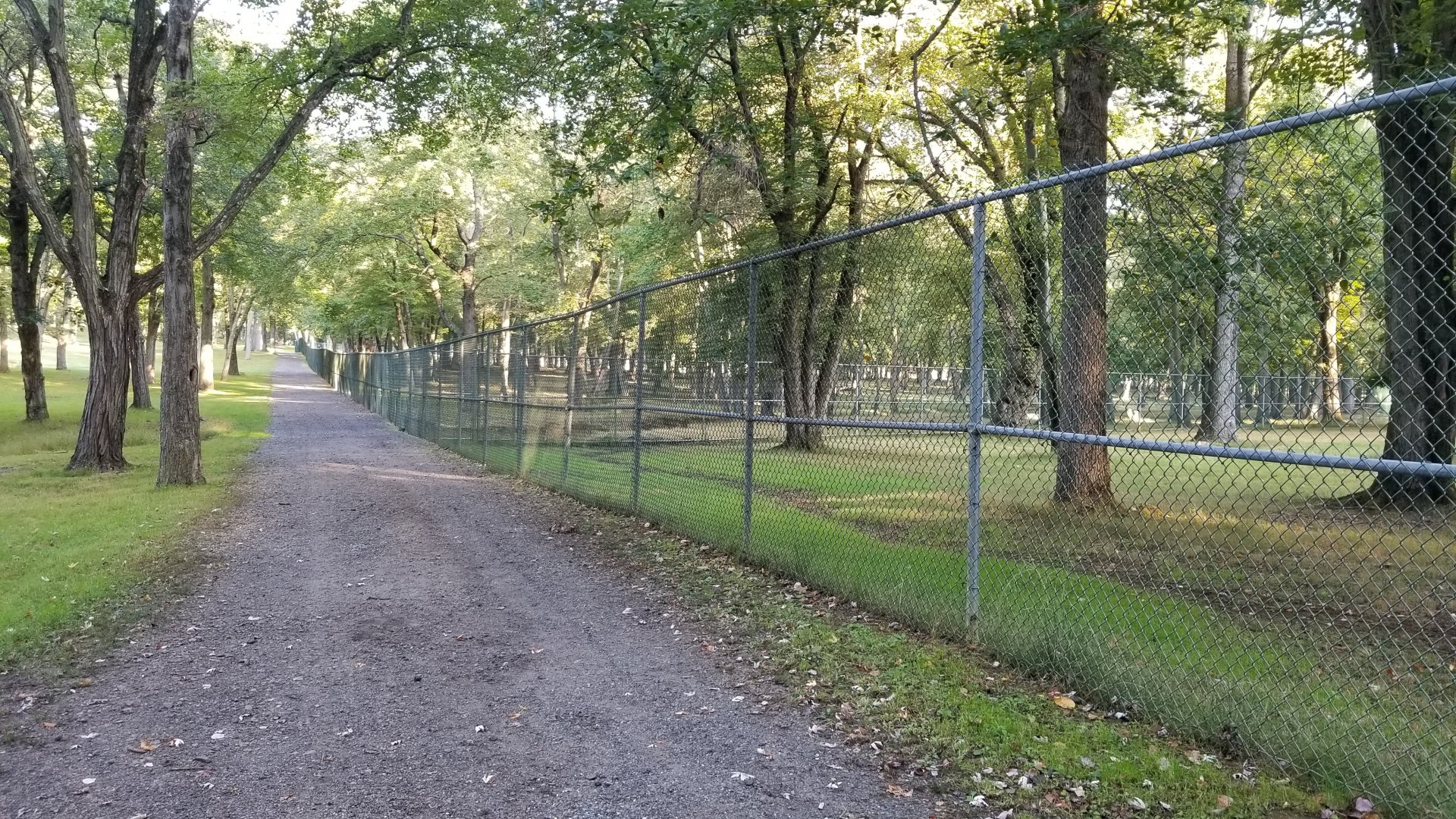 Thompson Park - Deer yard #1 and #2, long end