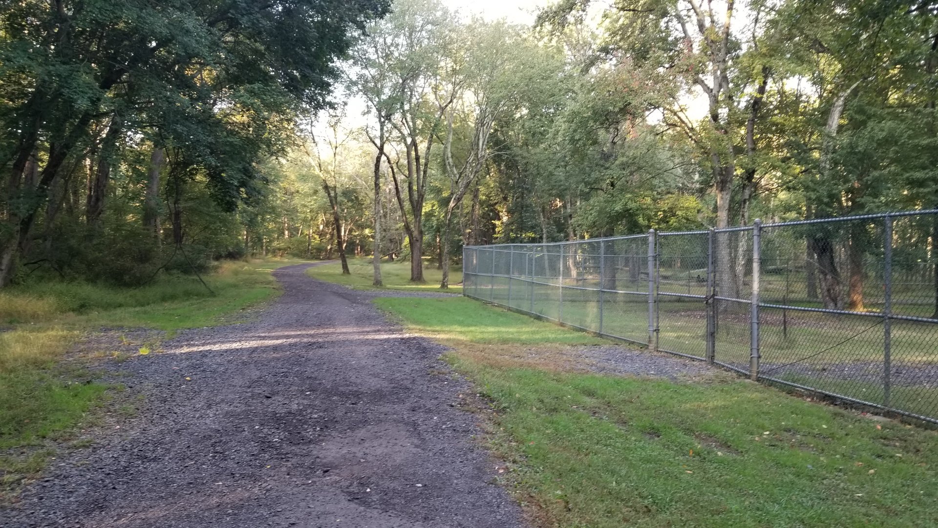 Thompson Park - Deer yard #1 corner