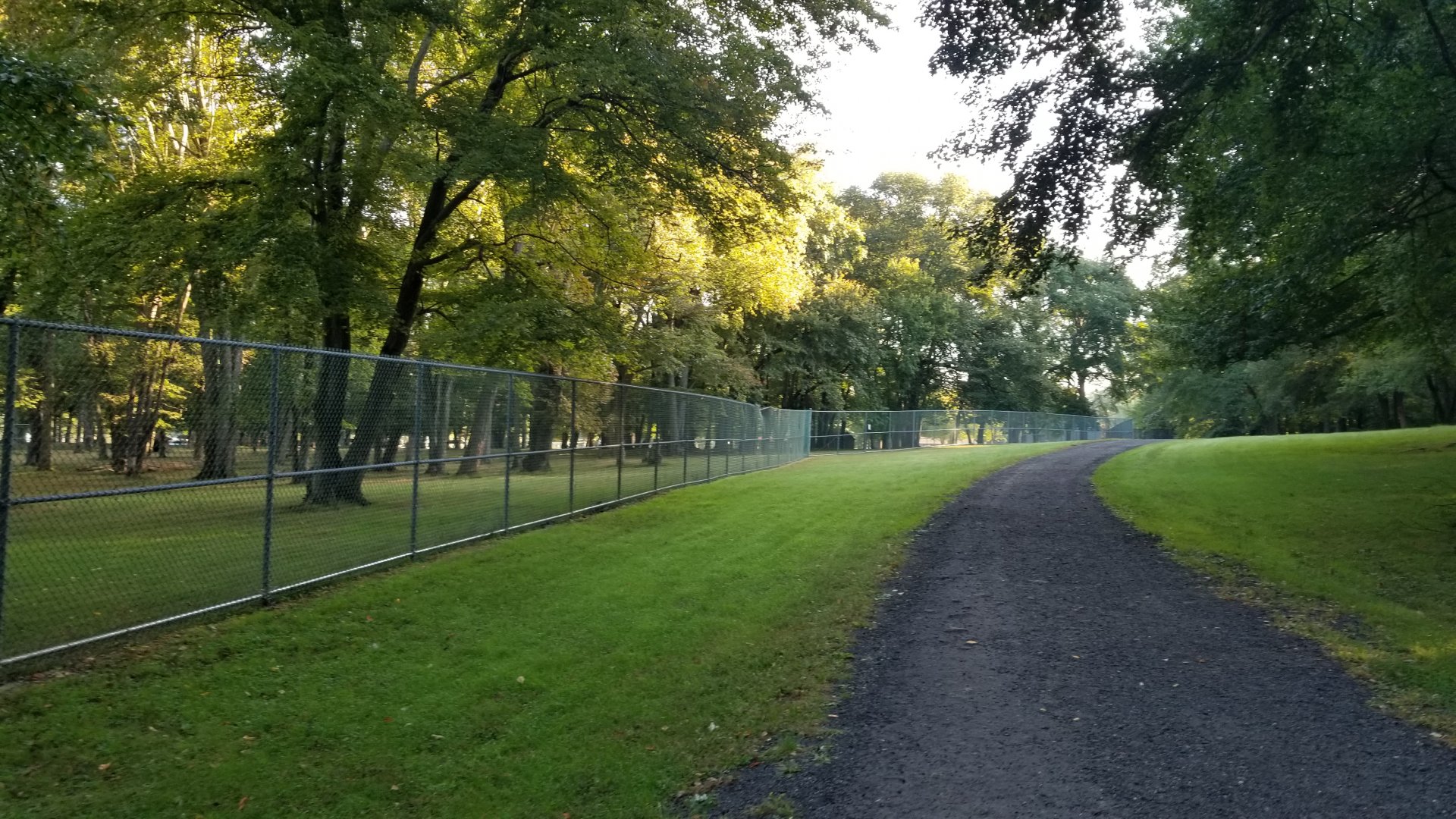 Thompson Park - Deer yard #1, looking back at path