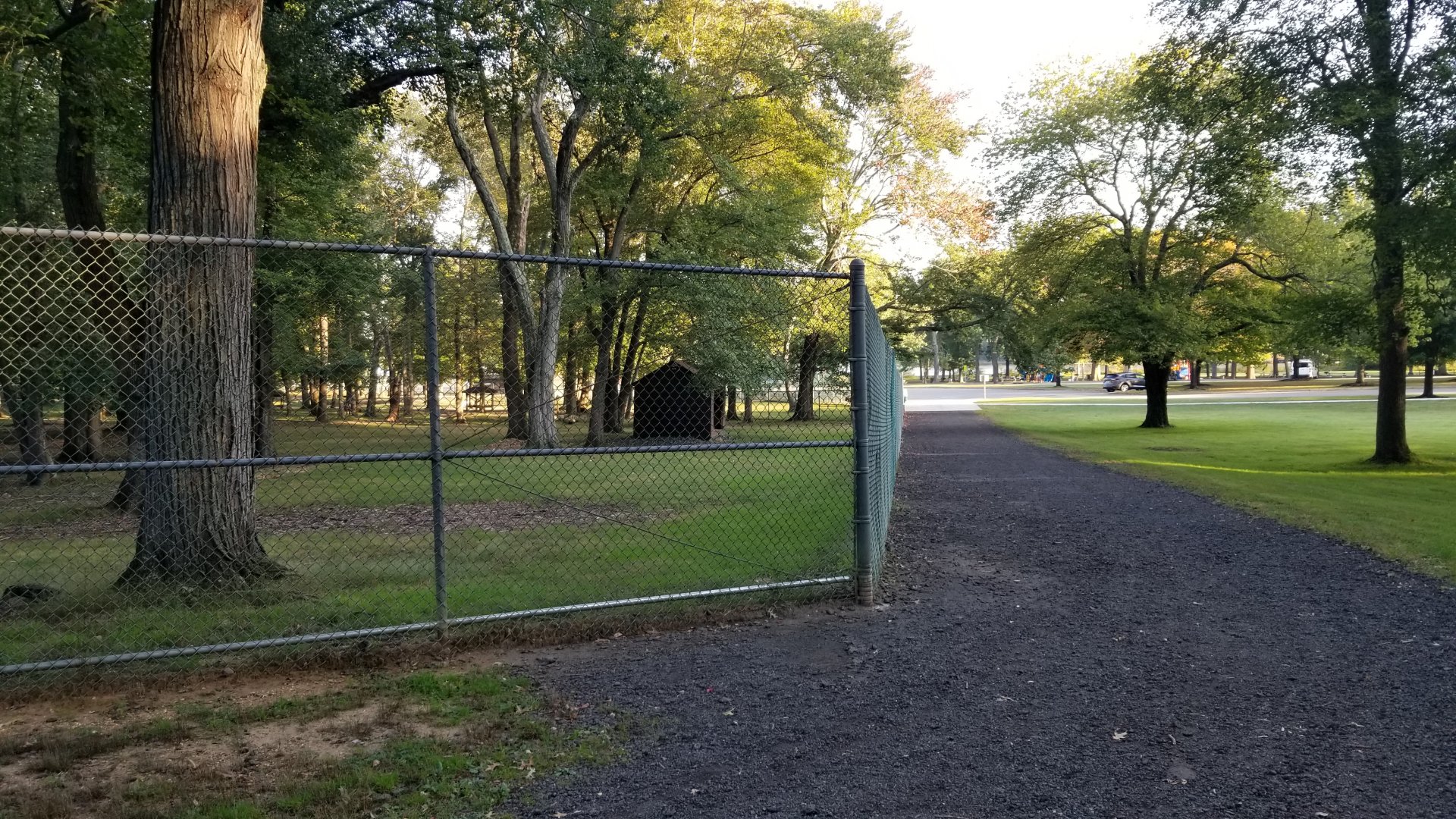 Thompson Park - Deer yard #1, looking back to parking