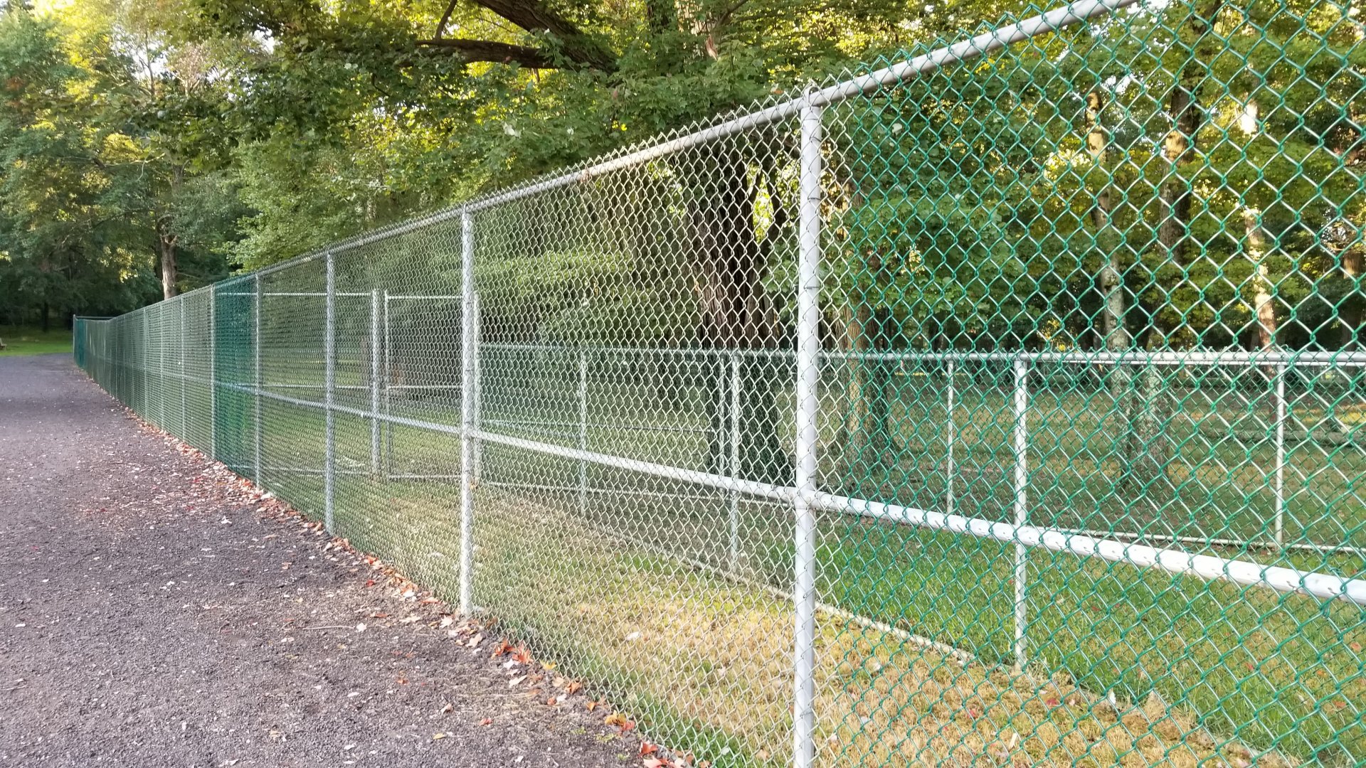 Thompson Park - Deer yard #1