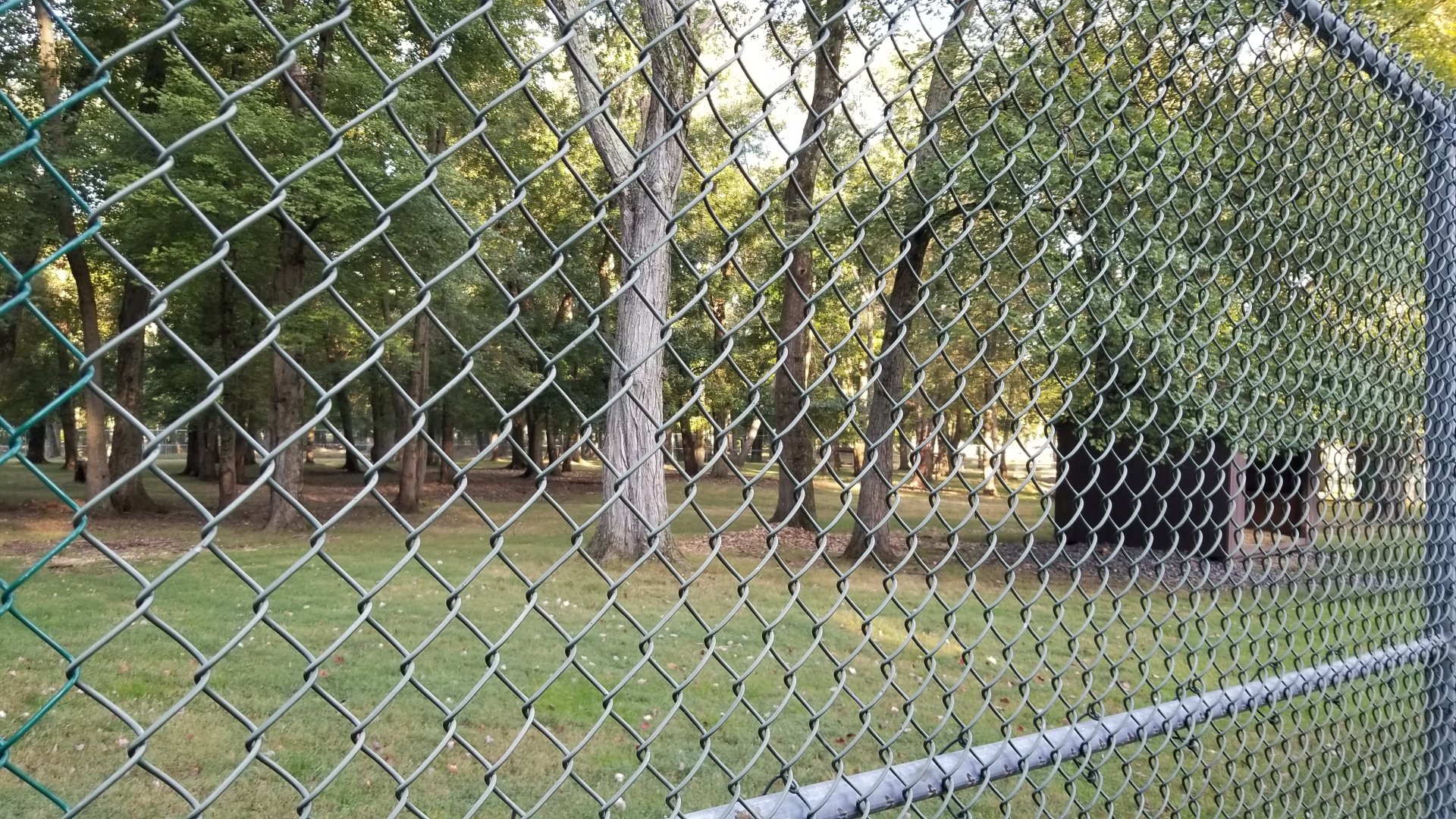 Thompson Park - Deer yard #1