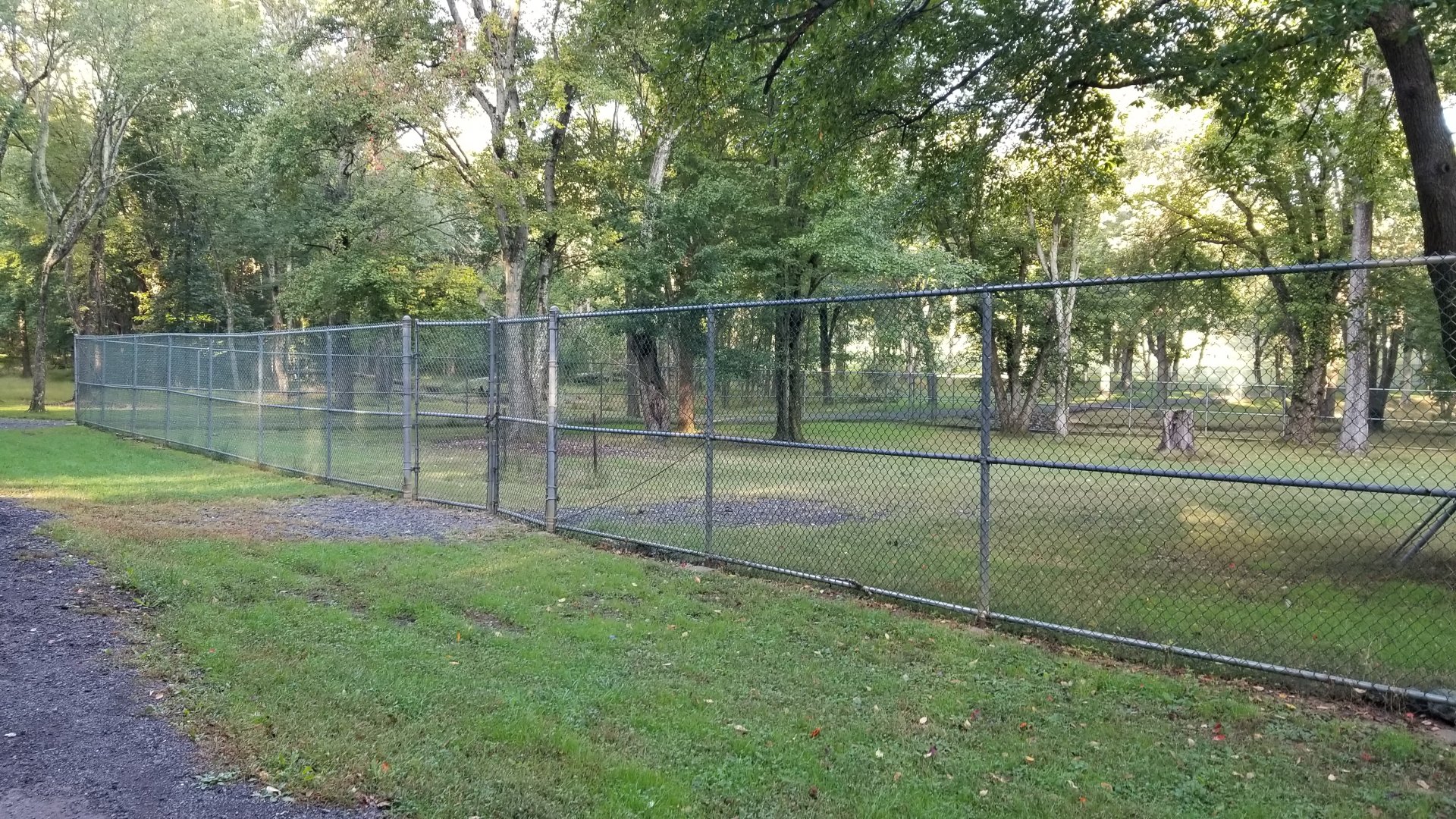 Thompson Park - Deer yard #1