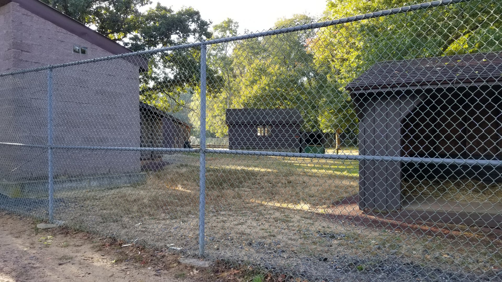 Thompson Park - Deer yard #2, buildings