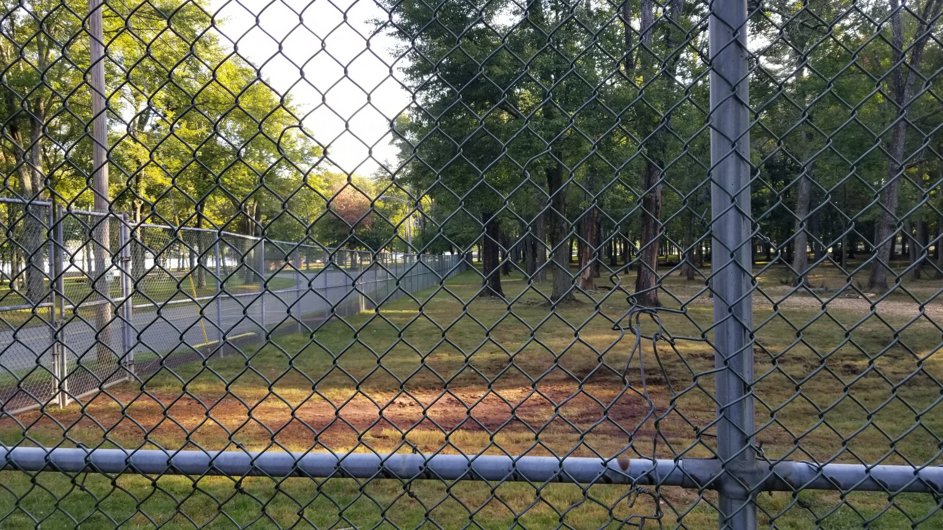 Thompson Park - Deer yard #2, corner with road