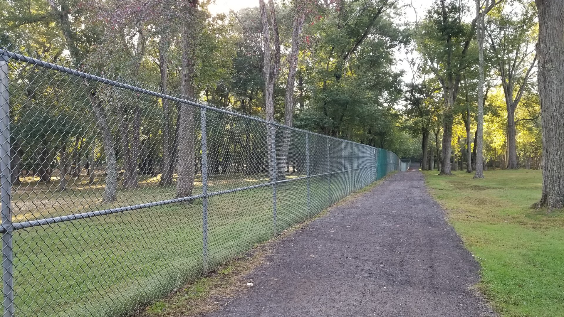 Thompson Park - Deer yard #2, looking back at long stretch