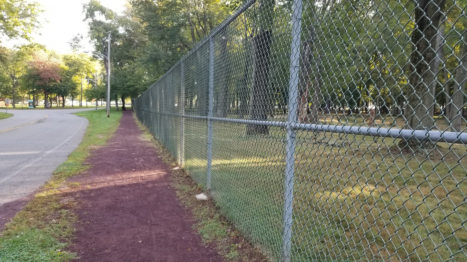 Thompson Park - Deer yard #2, path along road