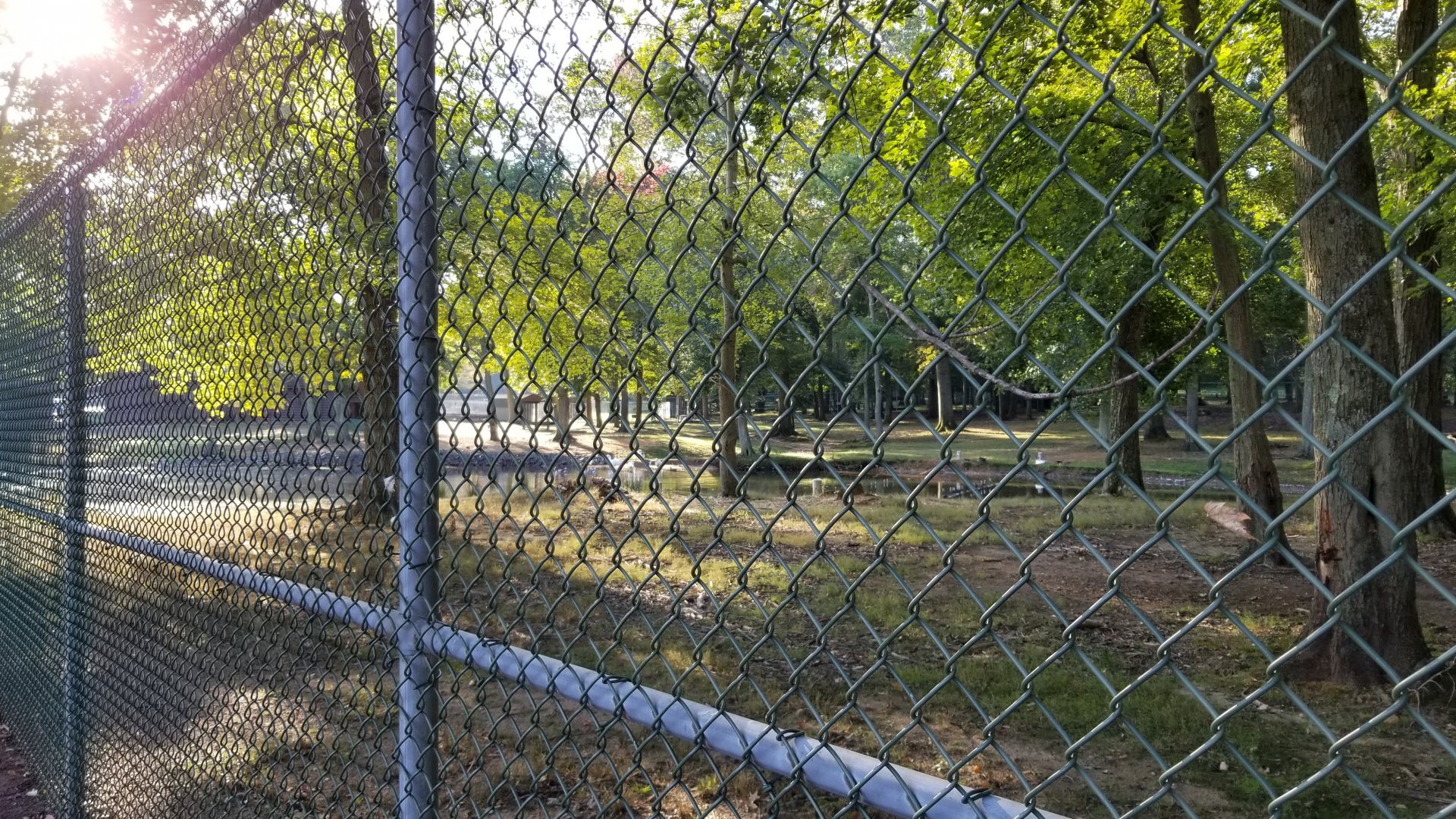 Thompson Park - Deer yard #2, pond