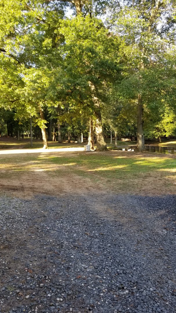 Thompson Park - Deer yard #2, pond