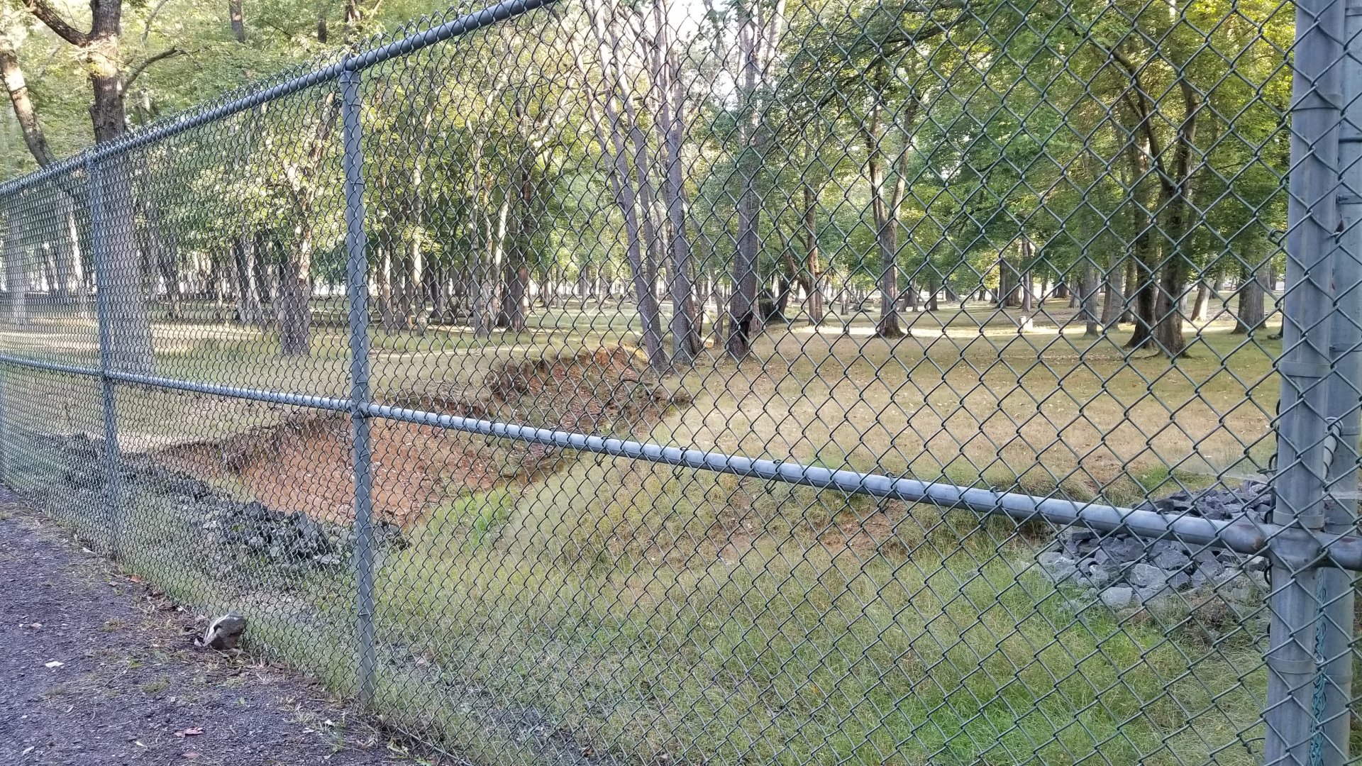 Thompson Park - Deer yard #2, stream