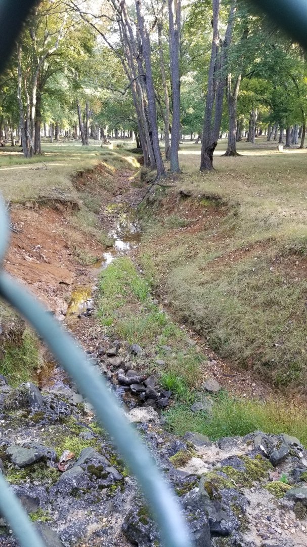 Thompson Park - Deer yard #2, stream