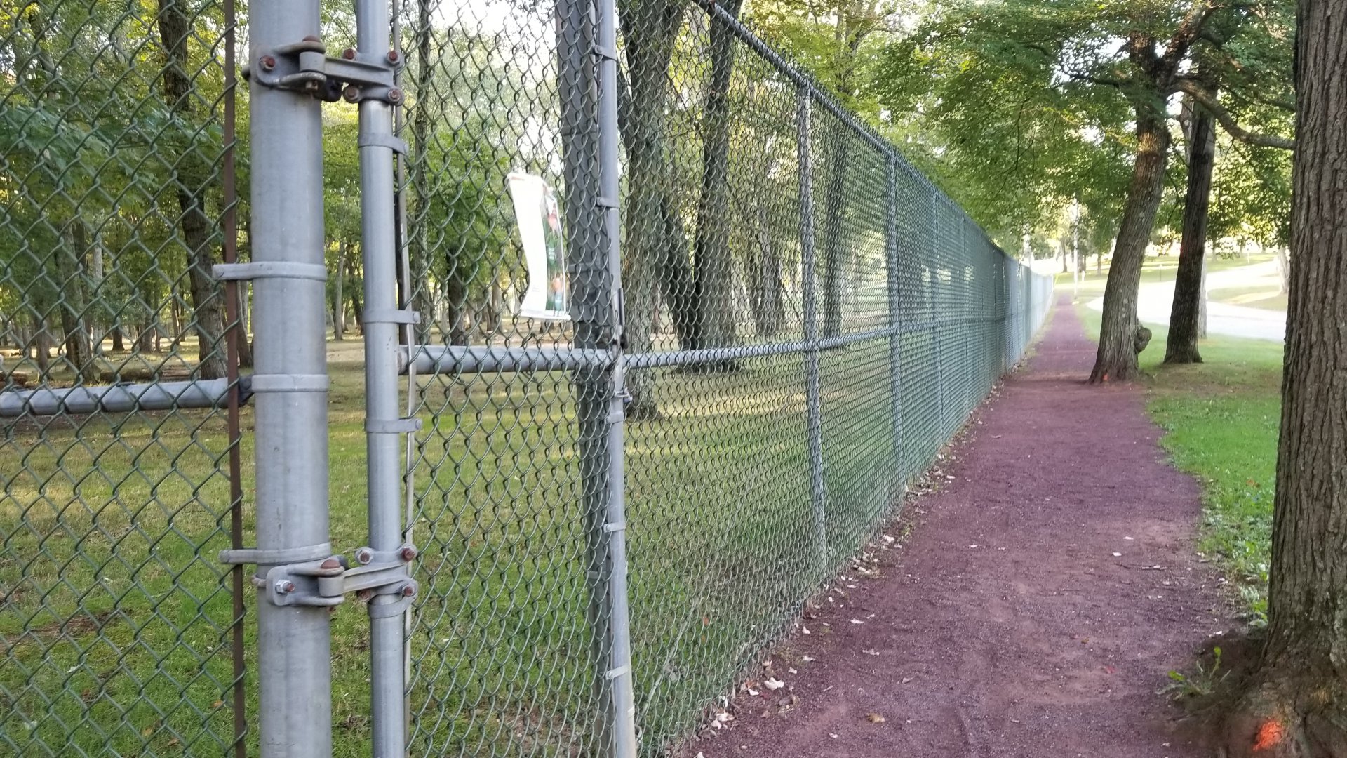 Thompson Park - Deer yard #2