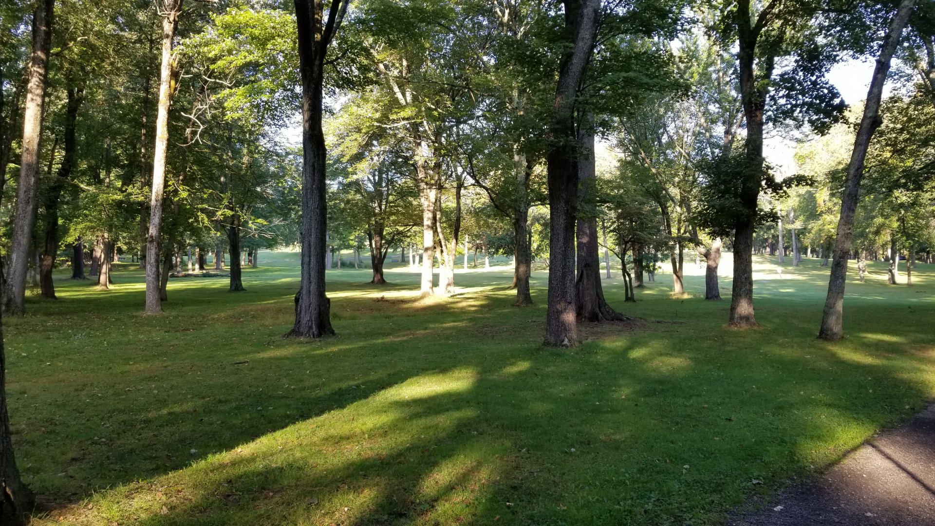 Thompson Park - Disc golf course across path from deer yards