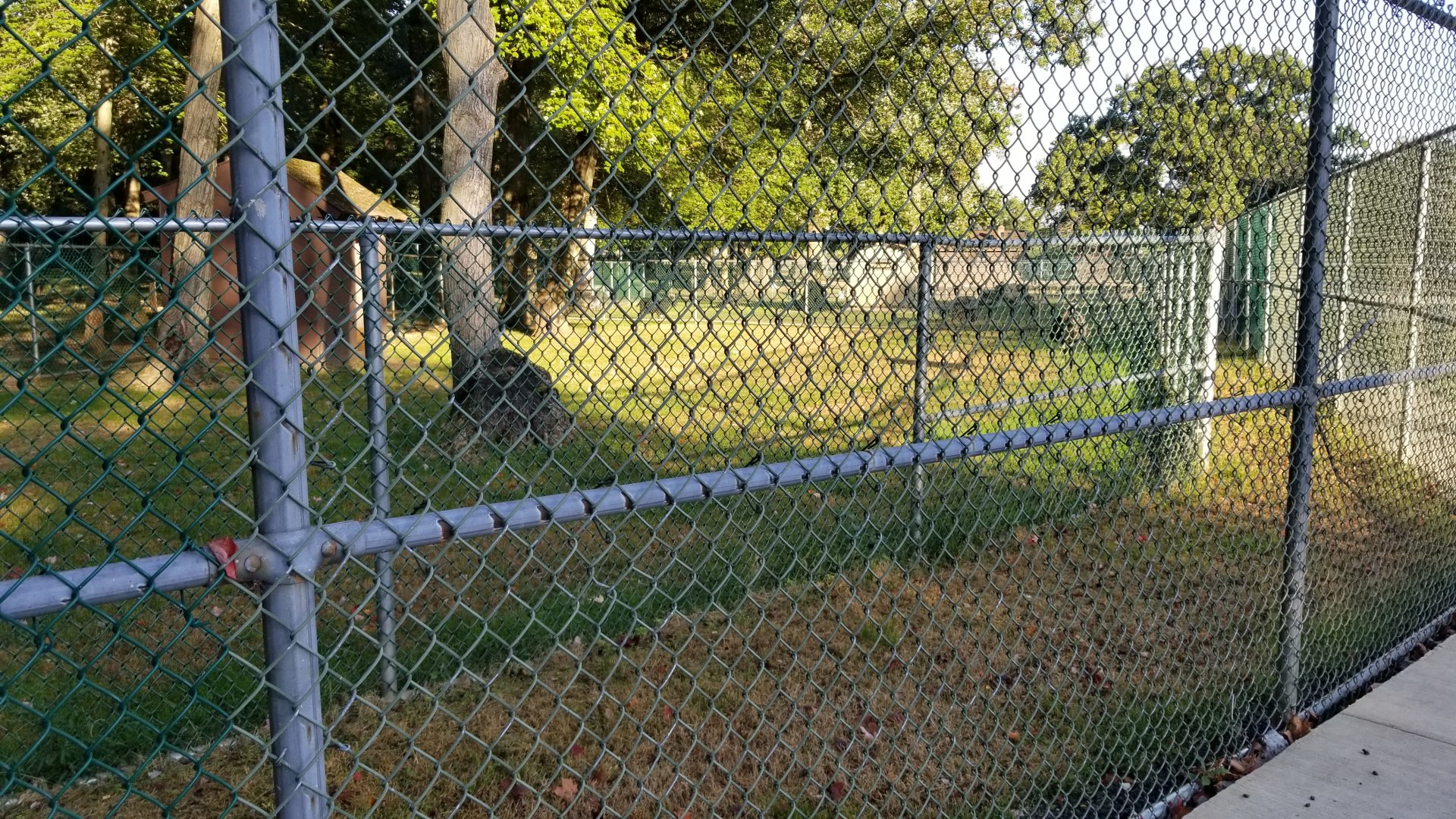 Thompson Park - Emu corner