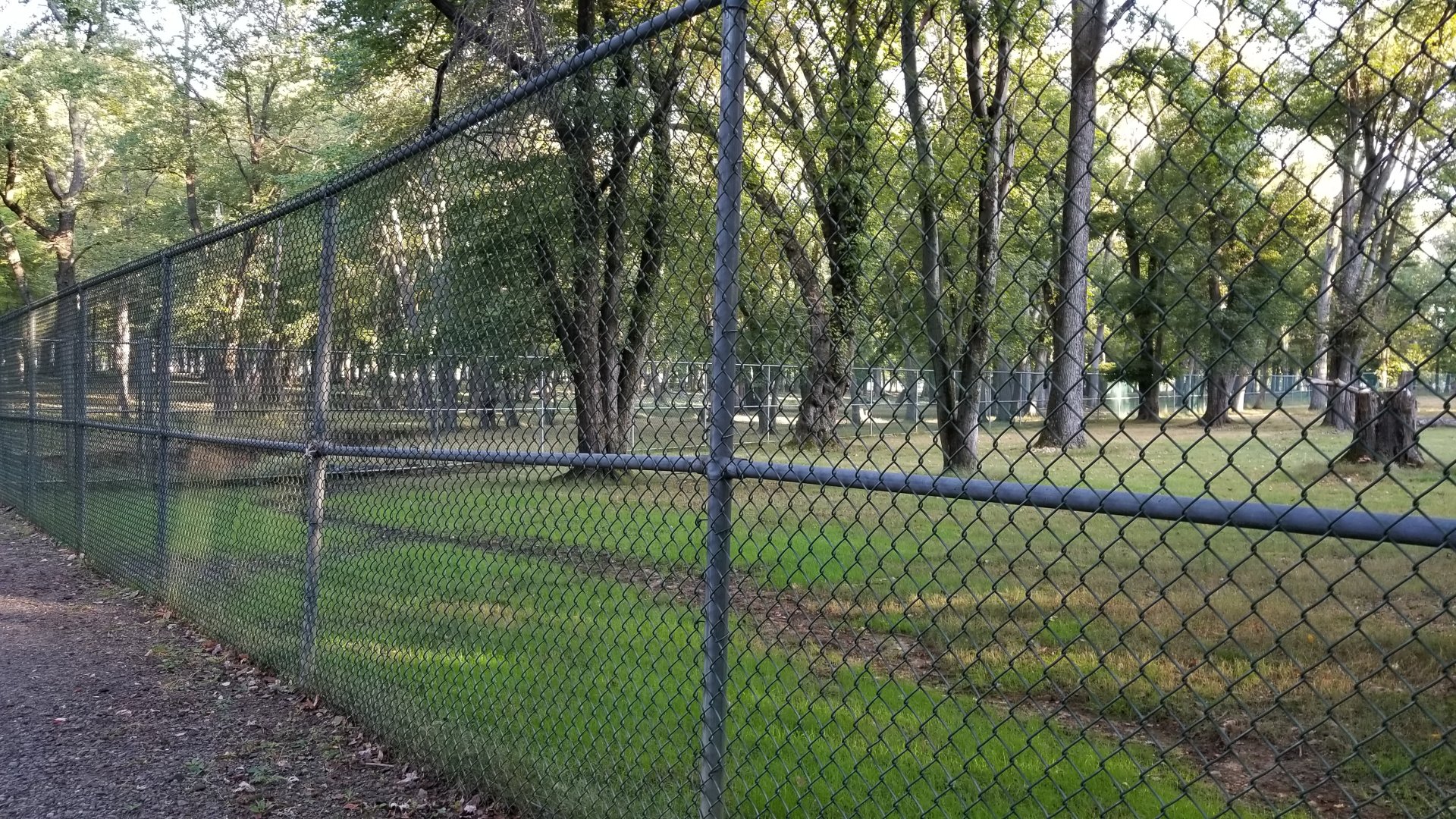 Thompson Park - Fence between two yards