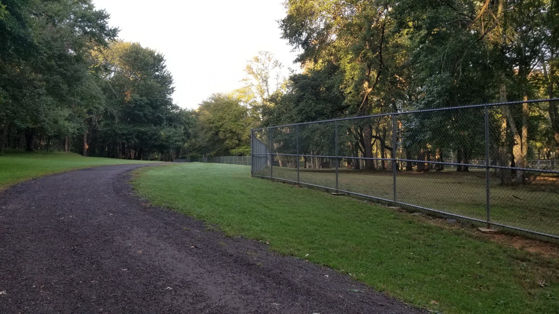 Thompson Park - Path along Deer yard #1