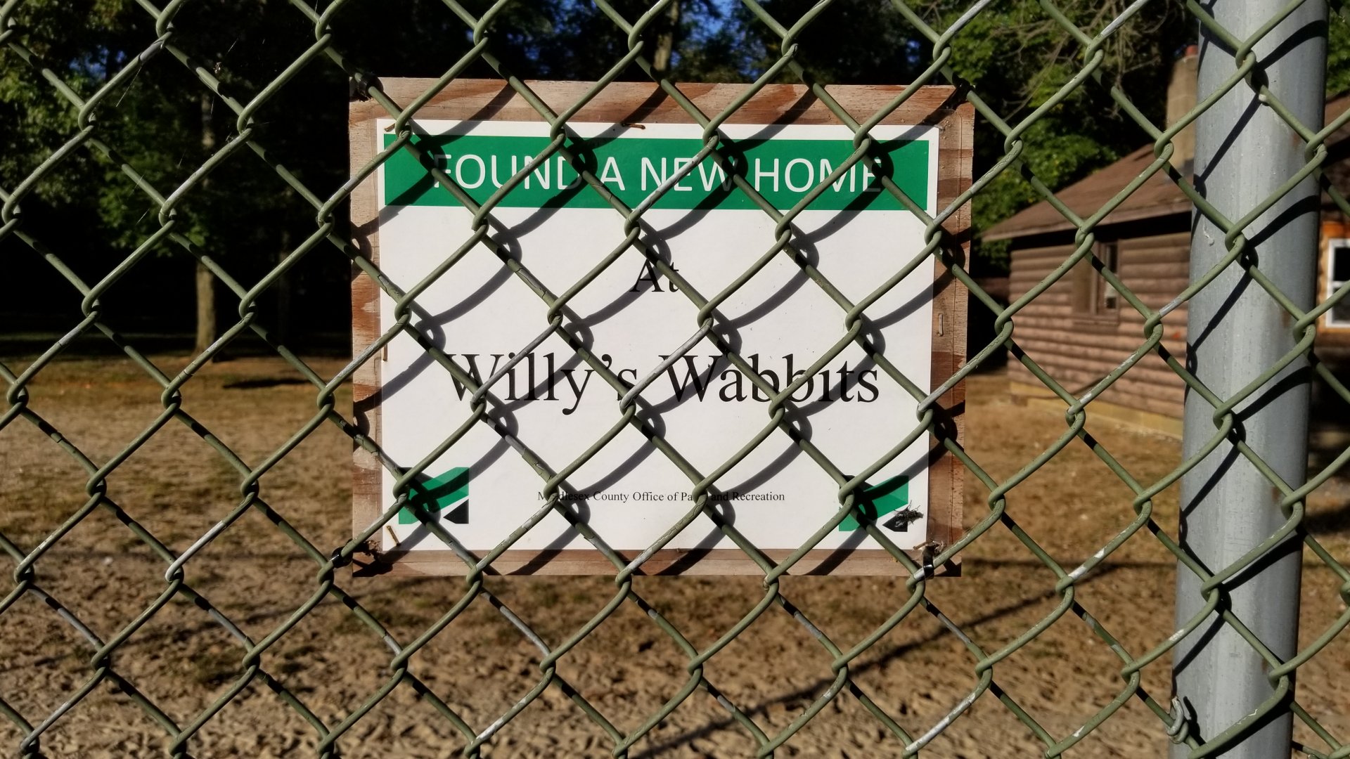 Thompson Park - Rabbits found a new home