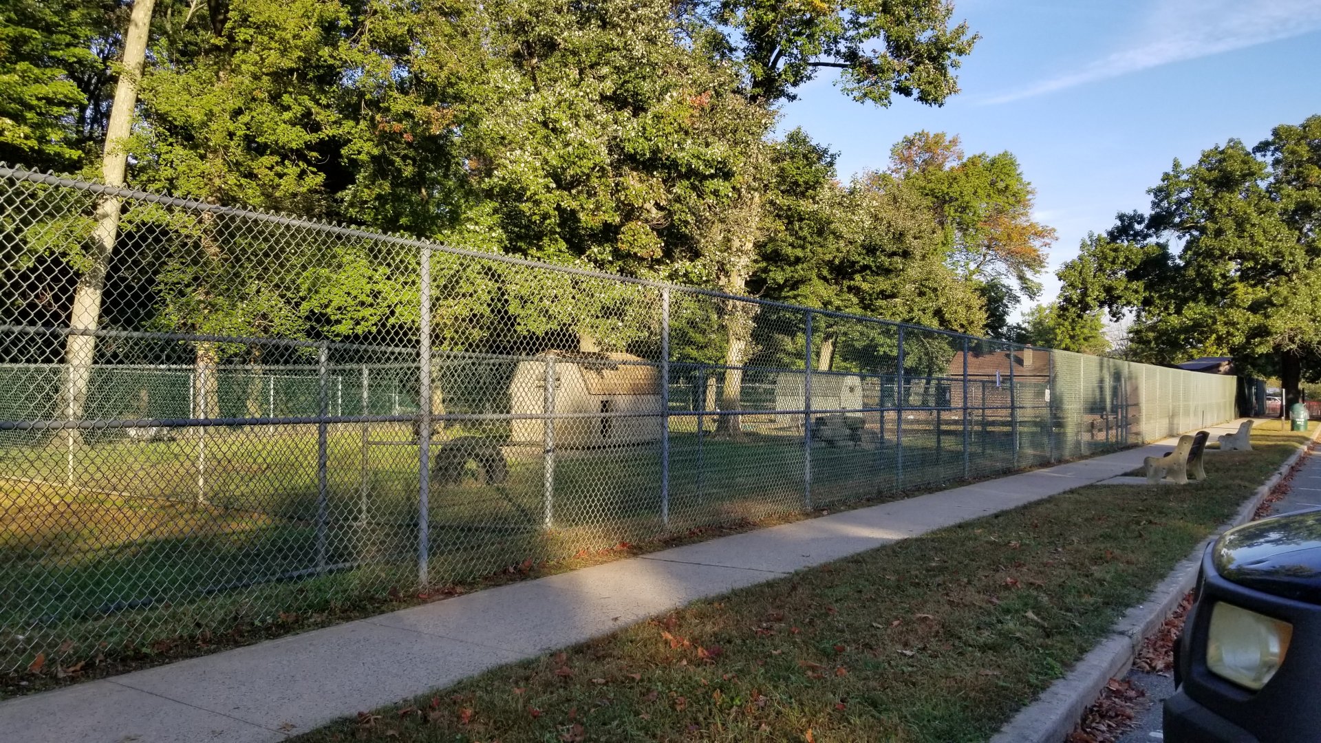 Thompson Park - Row along parking (emu, goats, peafowl, birds)