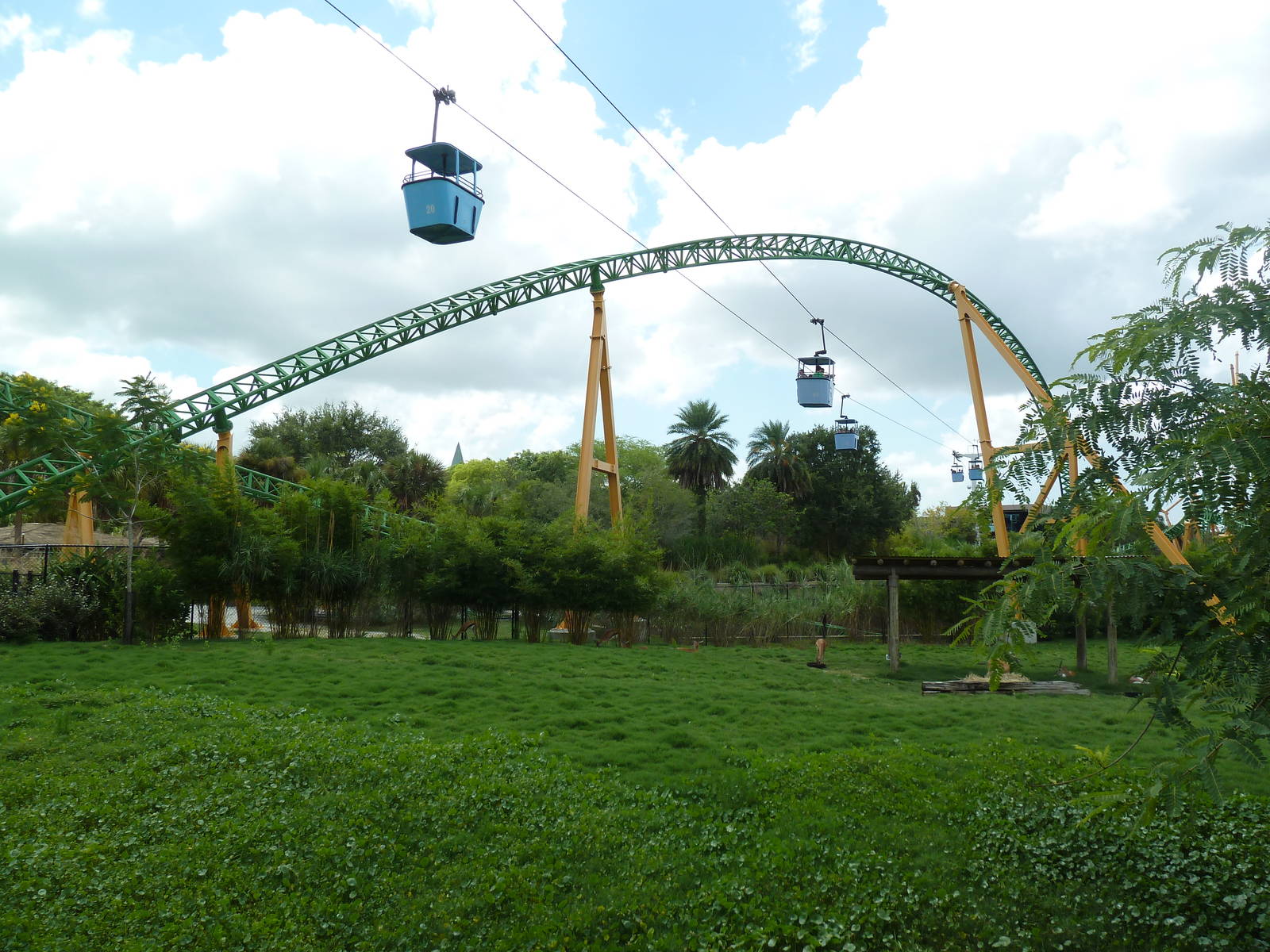 Thomson's Gazelle Exhibit + Rollercoaster + Sky Ride
