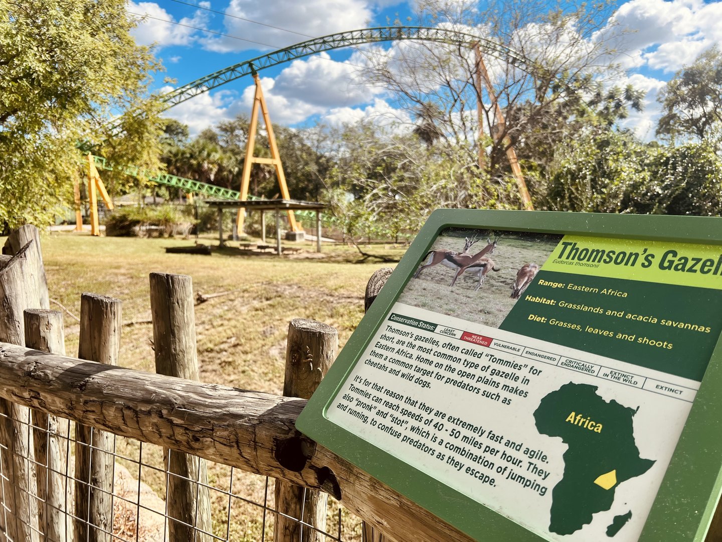 Thomson’s Gazelle Exhibit