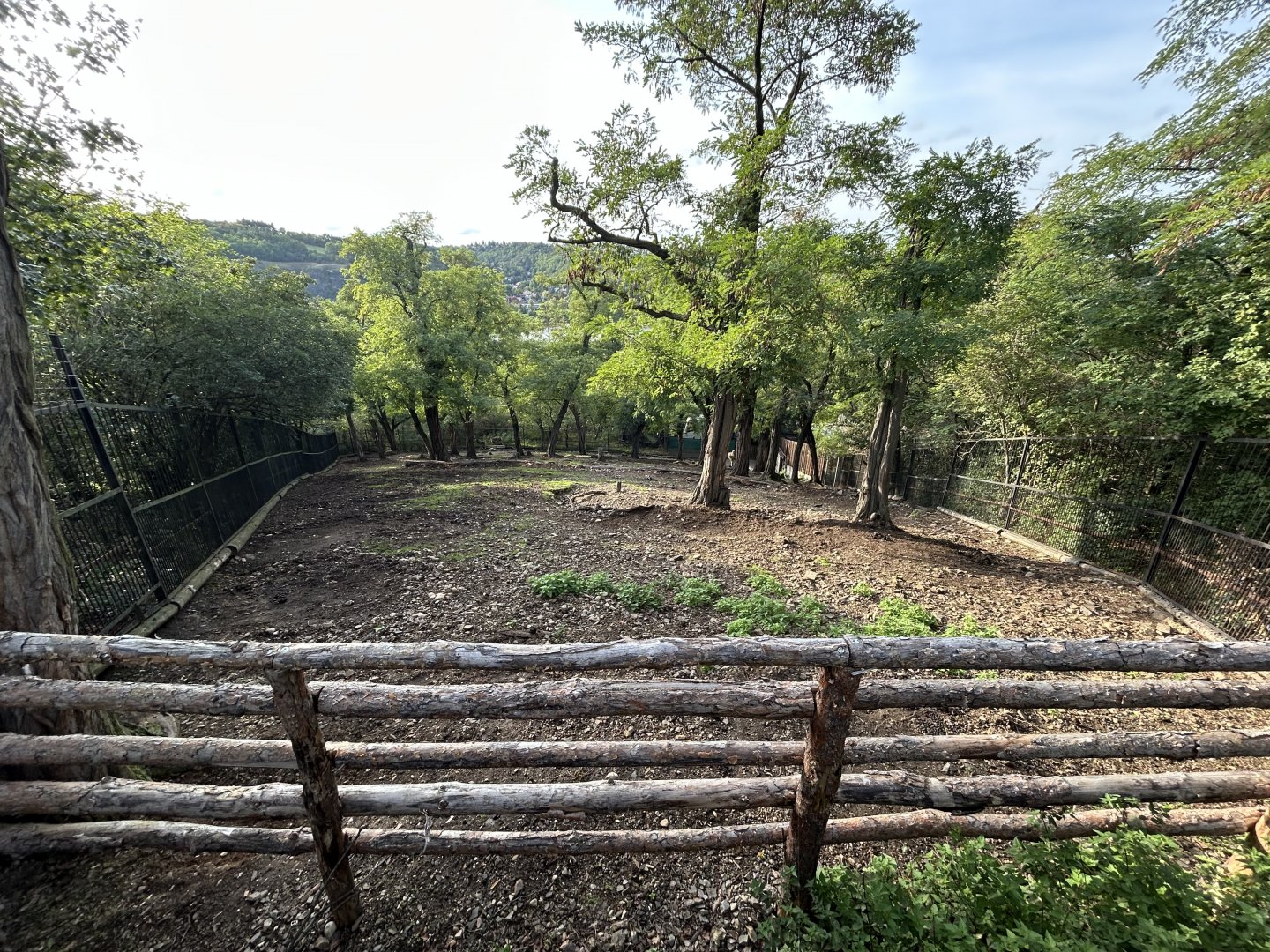 Thorold’s Deer Exhibit
