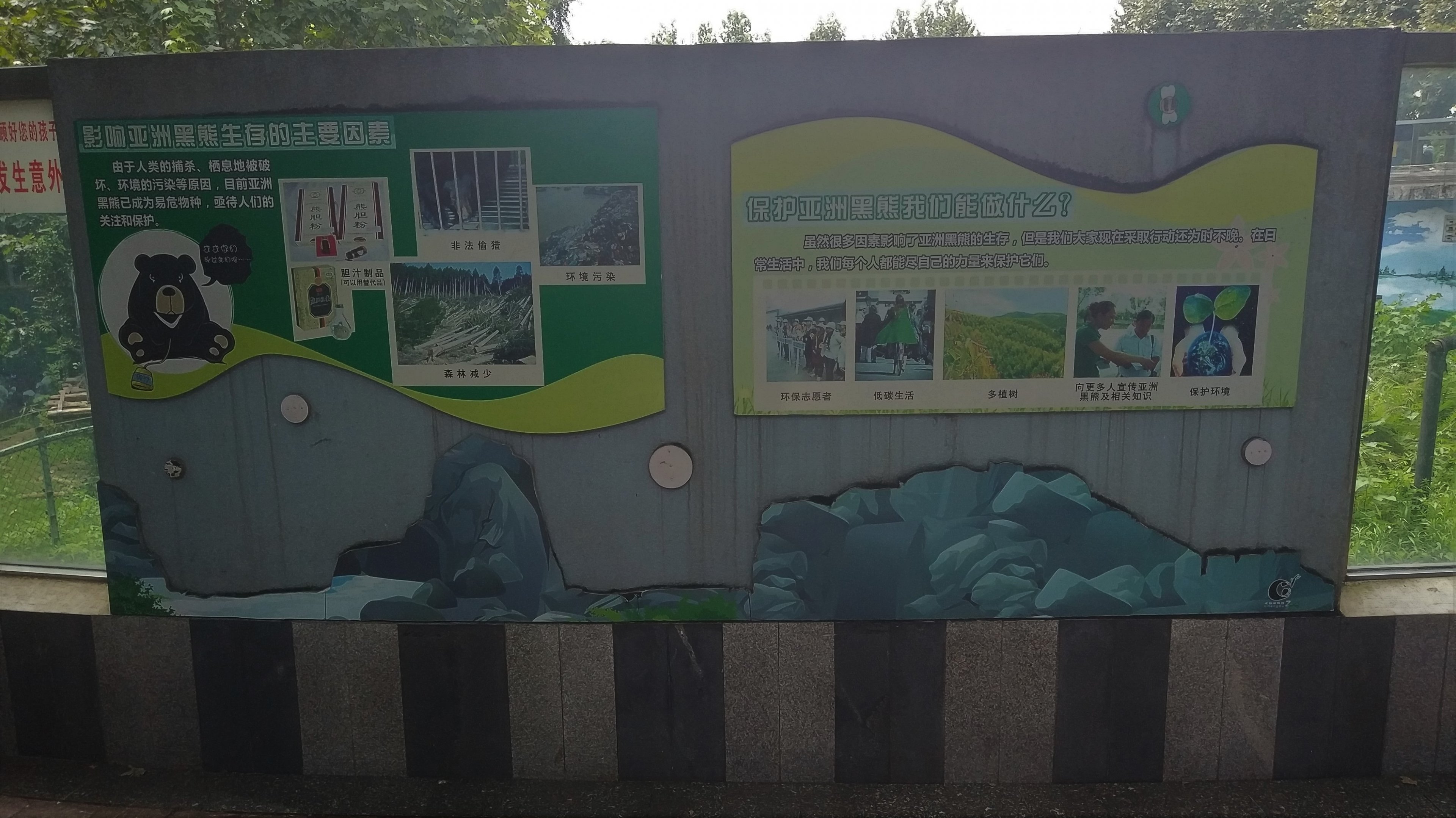 Threats to Bears Signage