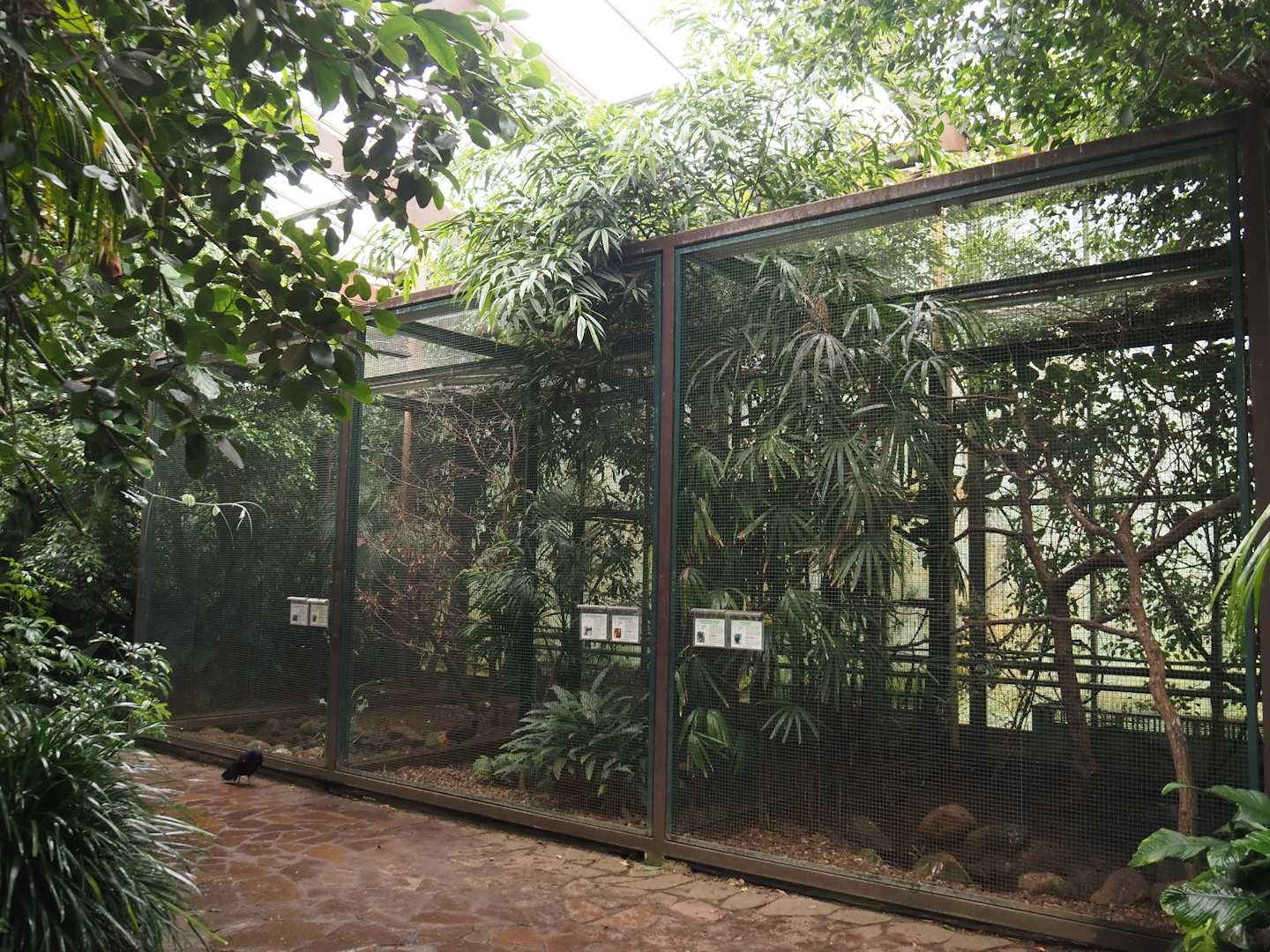 Three aviaries in Jungle Trail, 2024-05-22