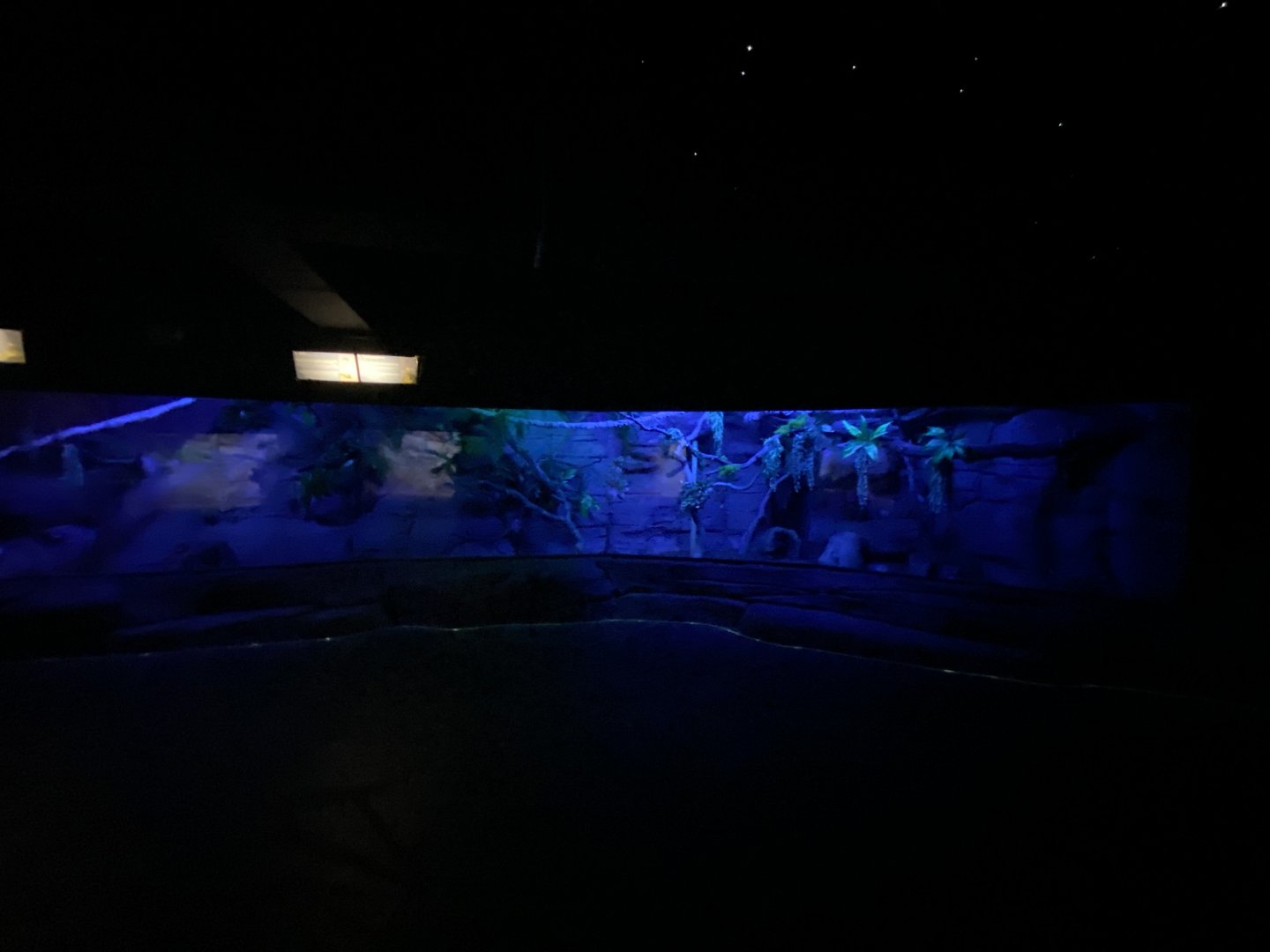 Three-banded armadillo and woylie enclosure