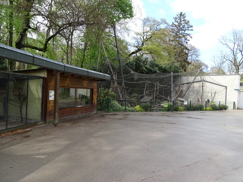 Three-banded armadillo enclosure and capuchin enclosure