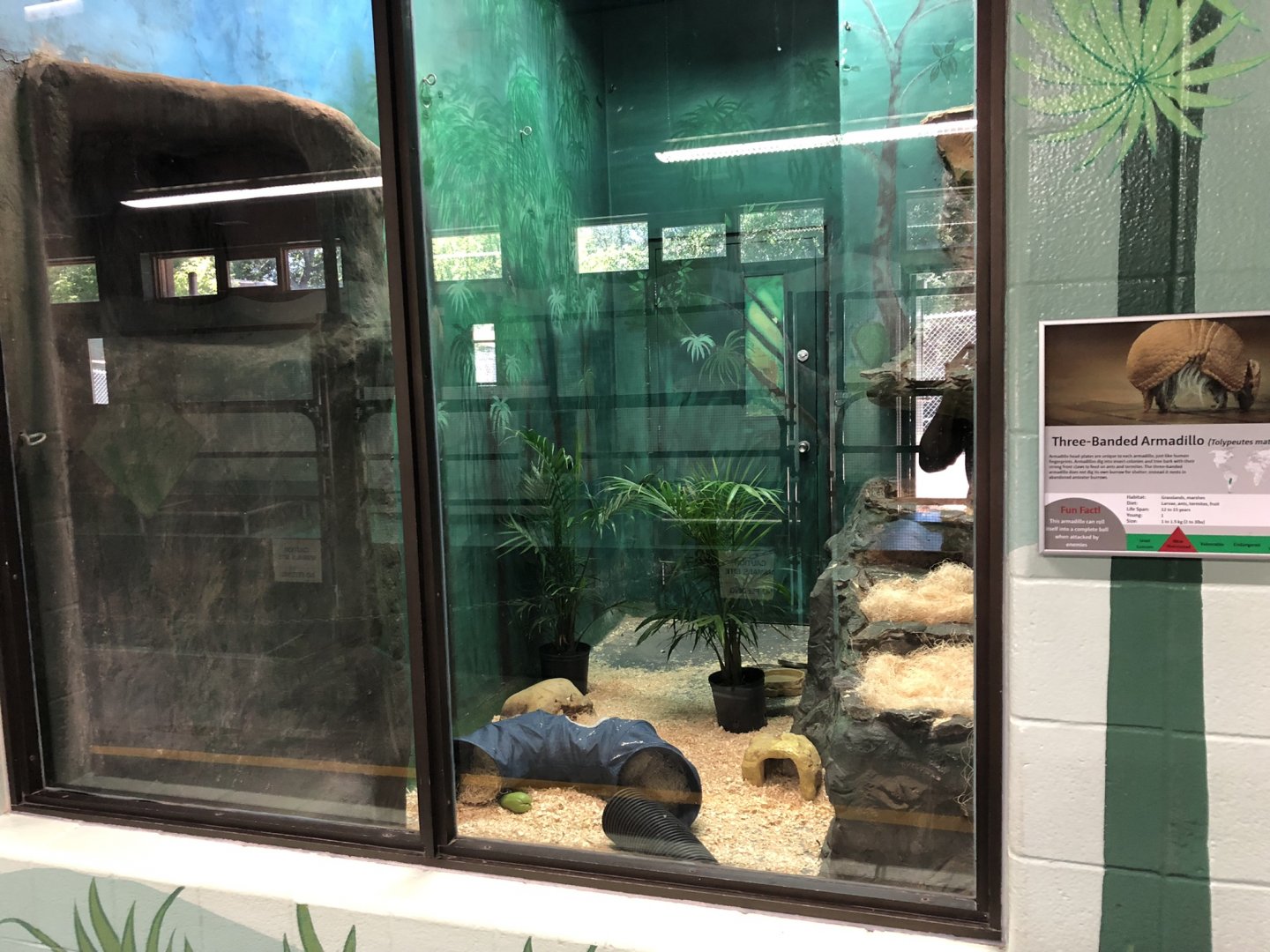 Three-Banded Armadillo Enclosure at Edmonton Valley Zoo (July 2022)